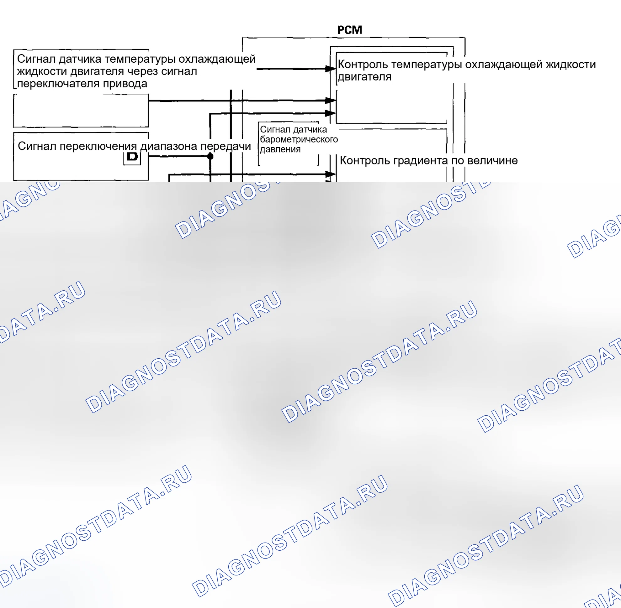 Рис. 452: Контроль блокировки. Honda Element YH2