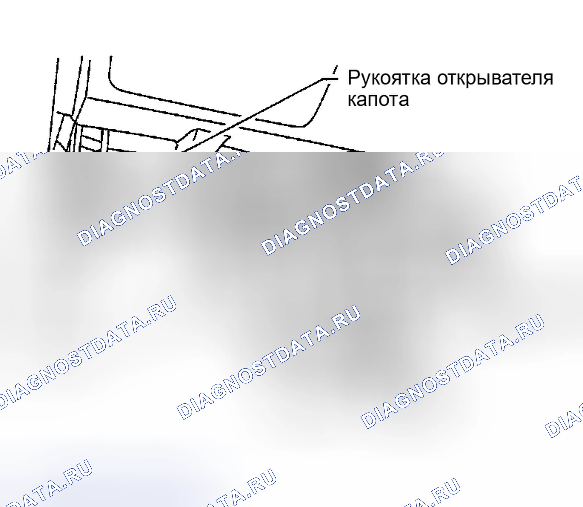 Рис. 29. Nissan Altima L31