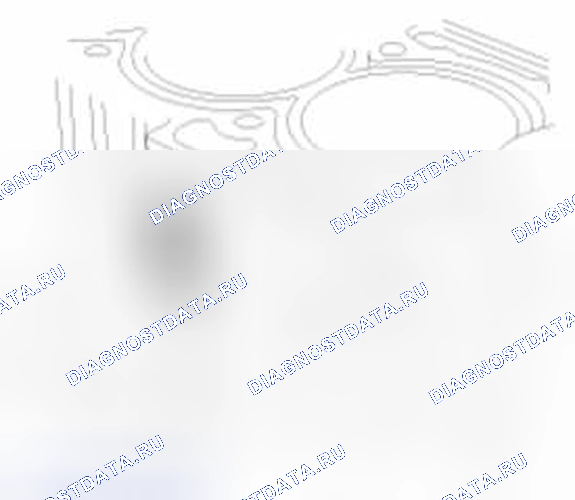 Рис. 582: Идентификационный знак отверстия коленчатого вала. Haval Beast (Shenshou) I
