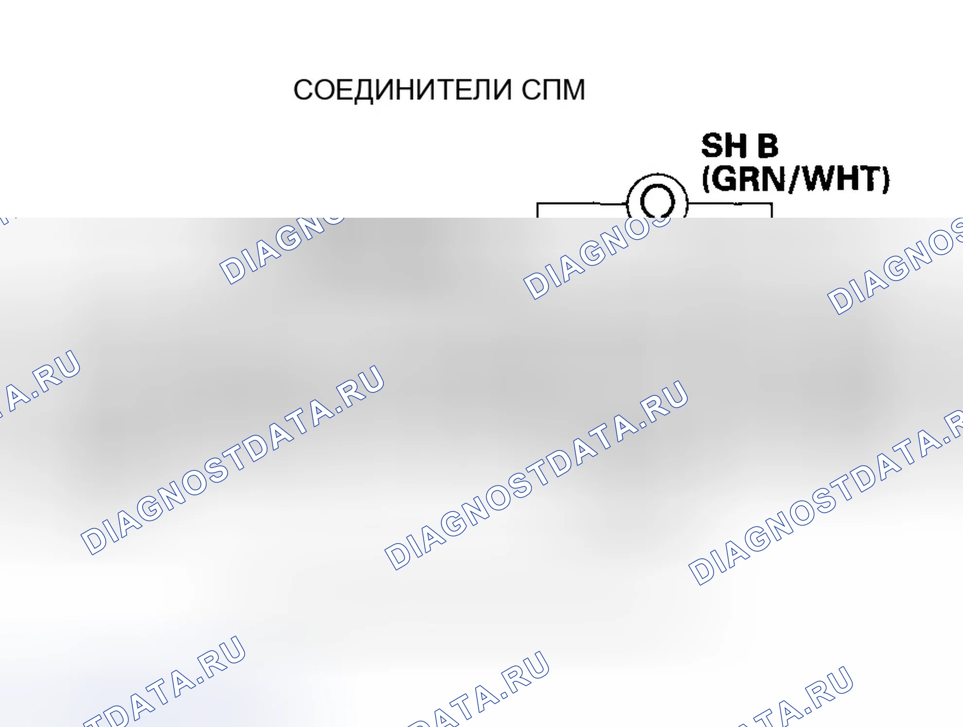 Рис. 553. Honda Accord VII рестайлинг
