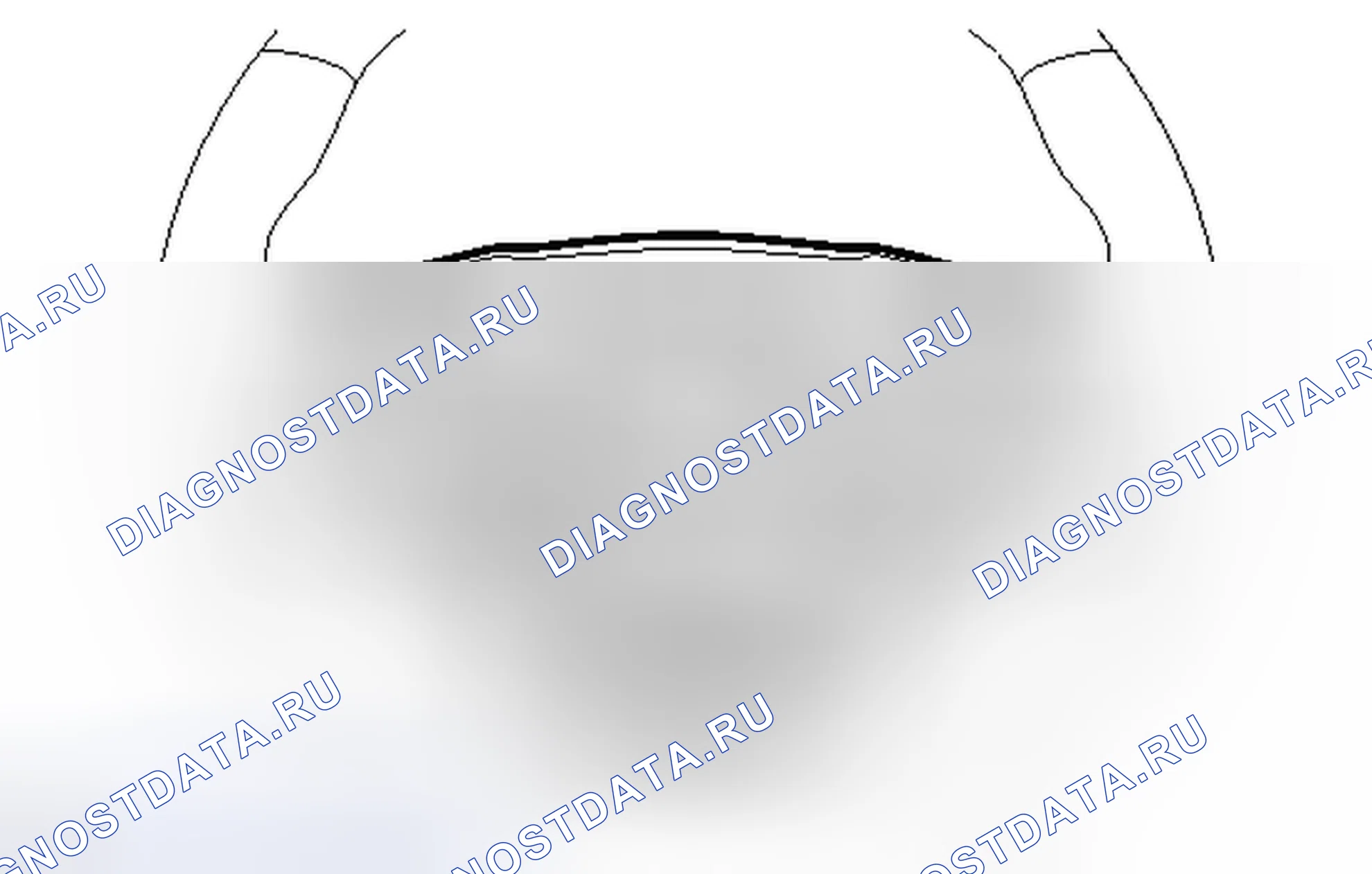 Рис. 39. Haval H3 I
