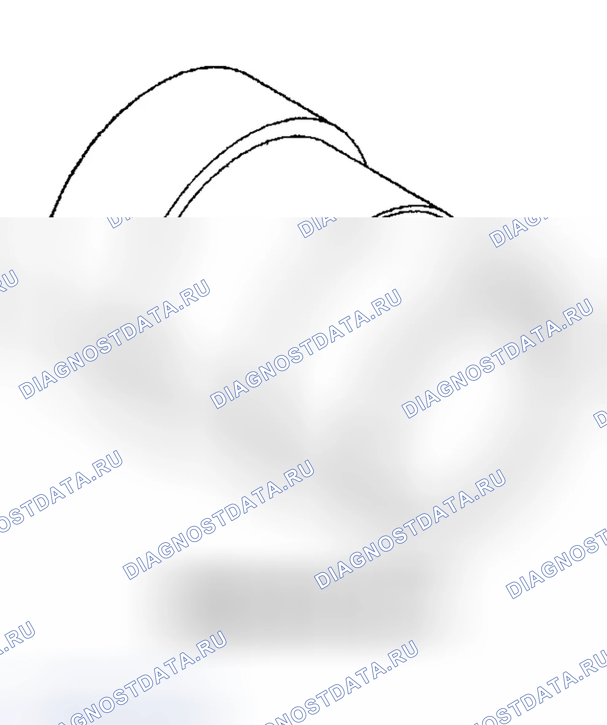 Рис. 338. Dodge Pickup R1500 