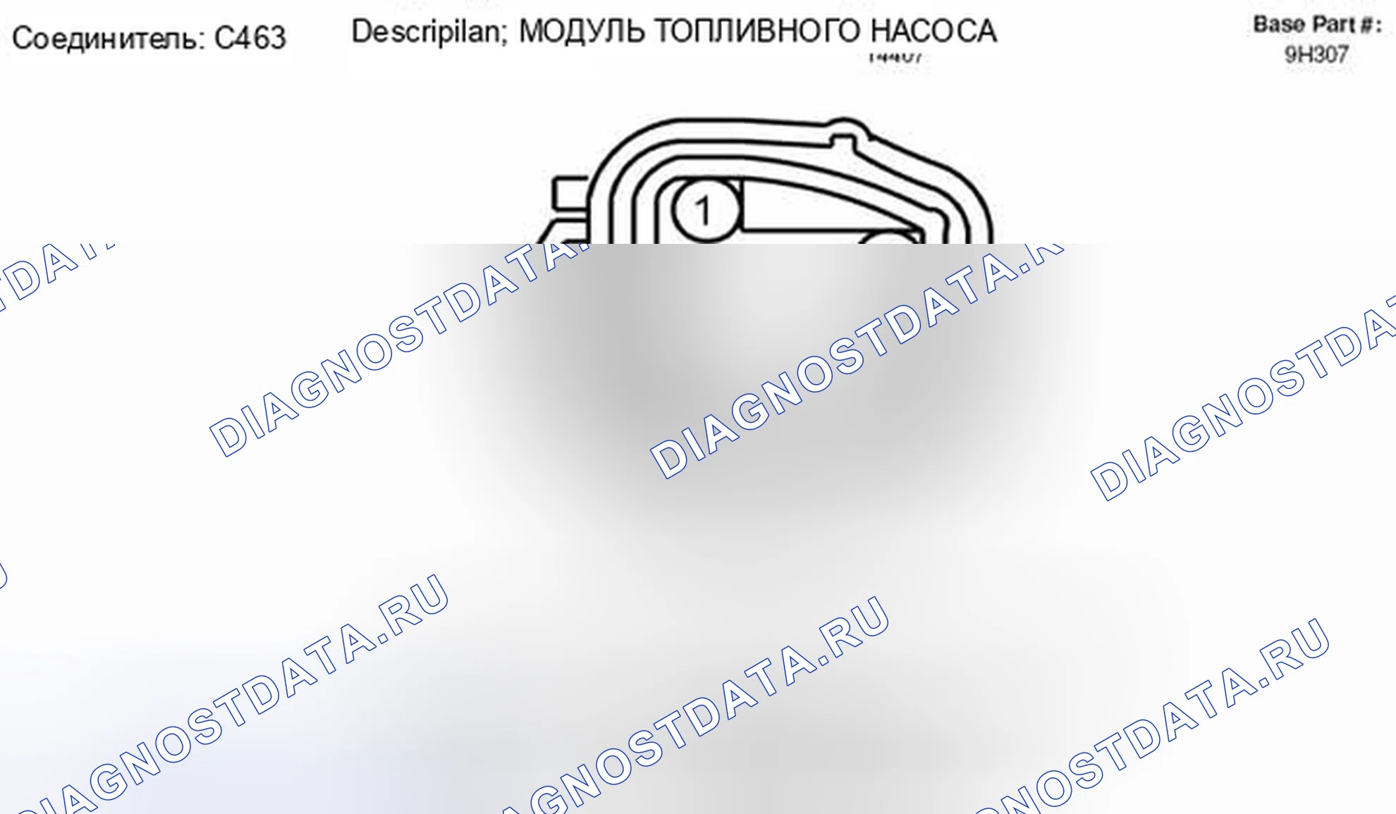 Рис. 136: Вид с торца разъема модуля топливного насоса (C463). Hyundai Lafesta I рестайлинг