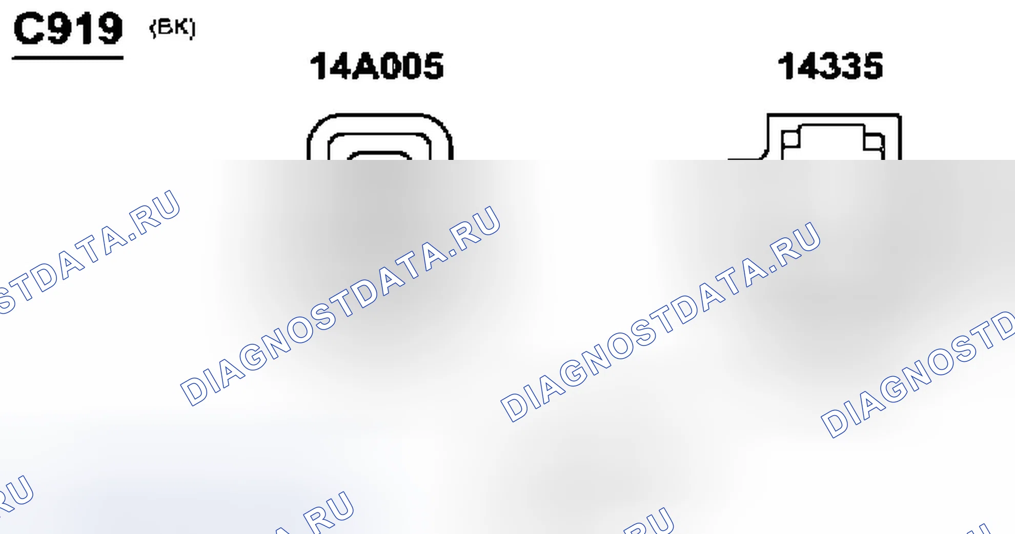 Рис. 244: Идентификационные разъемы C919, C920, C921a и C921b. Ford Expedition II