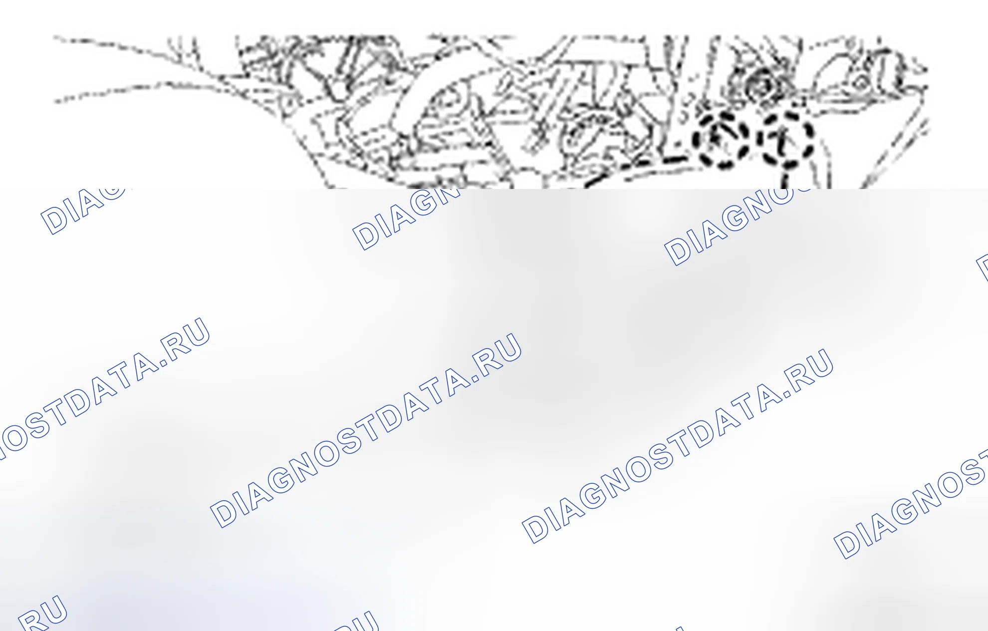 Рис. 200. Toyota Avalon XX30 рестайлинг