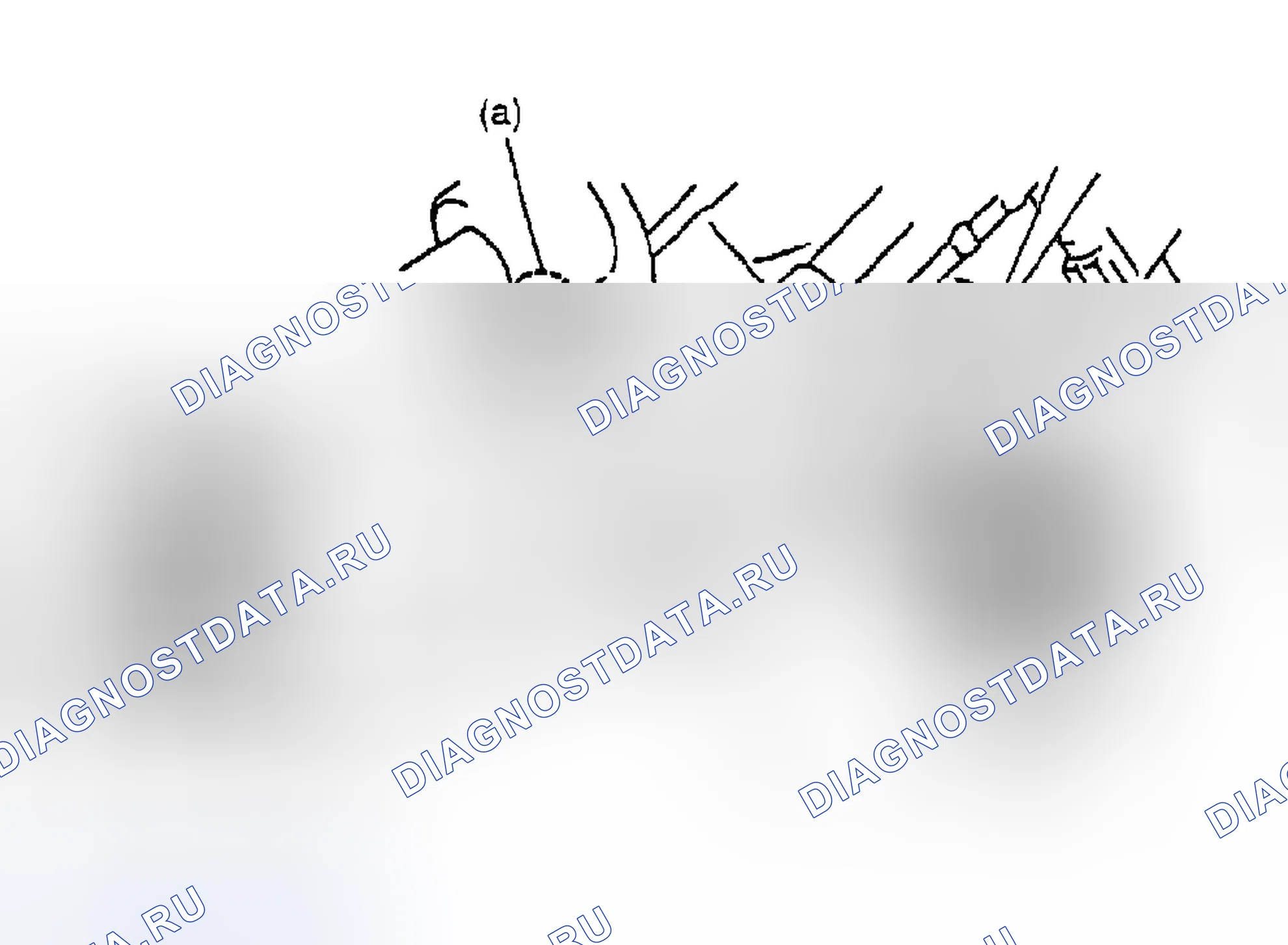 Рис. 34. Suzuki Vitara I