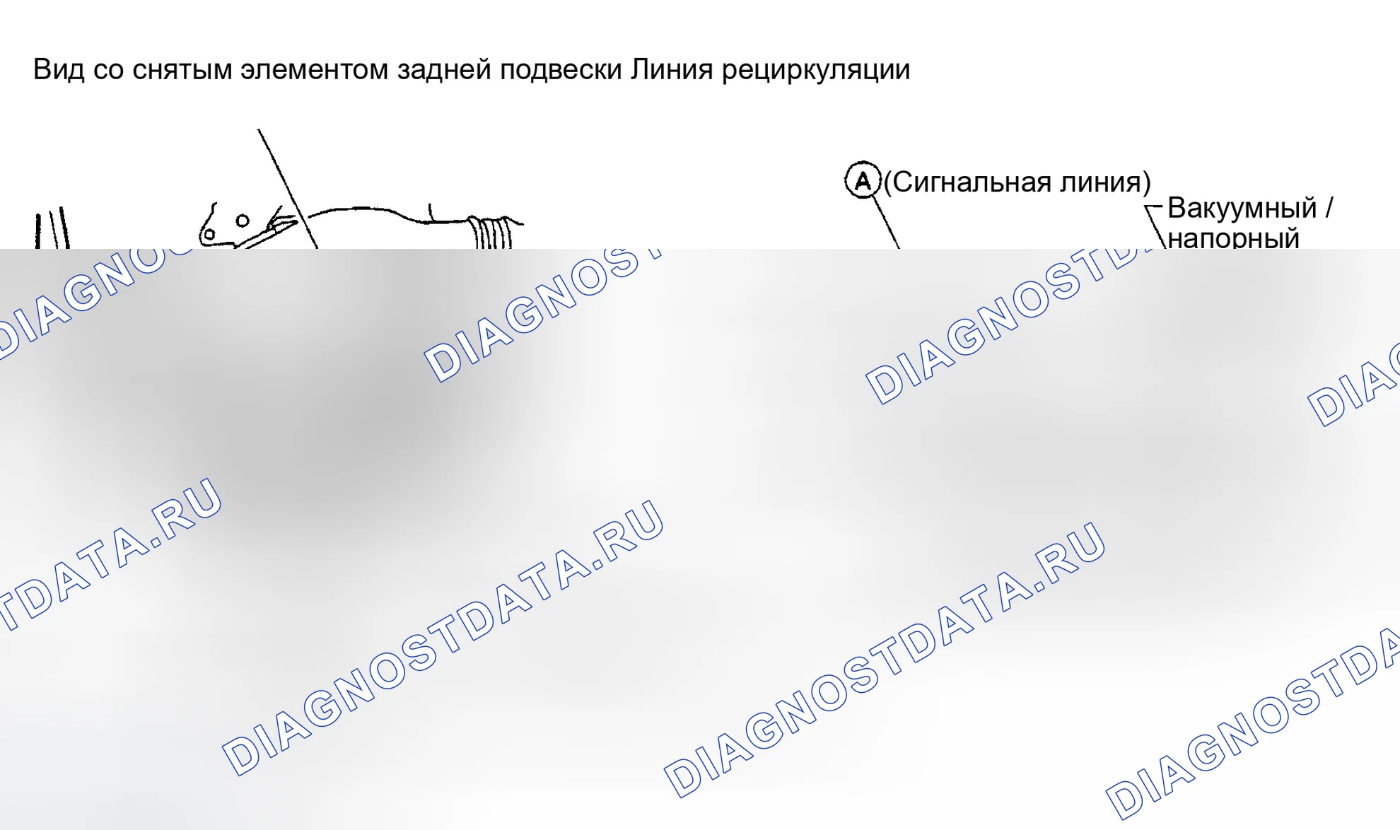 Рис. 144. Nissan Sentra B15