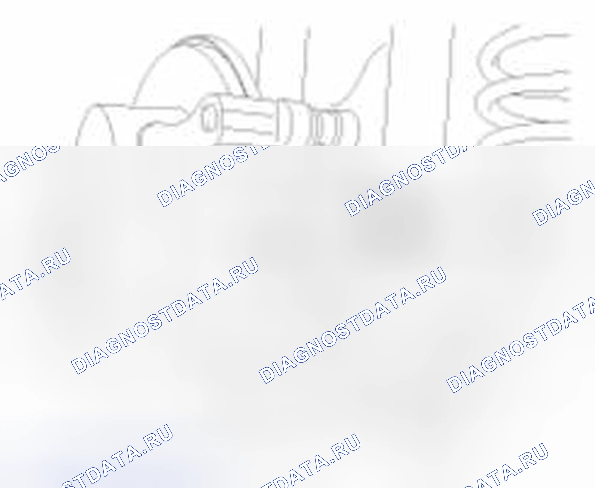Рис. 48: Задний. Haval Beast (Shenshou) I