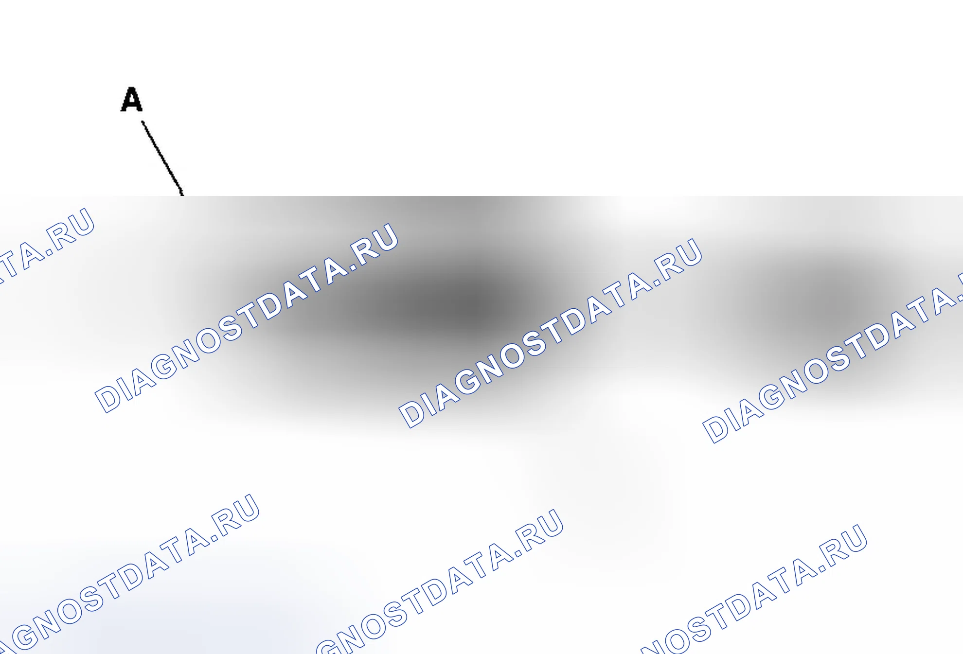 Рис. 3. Honda Accord VII рестайлинг