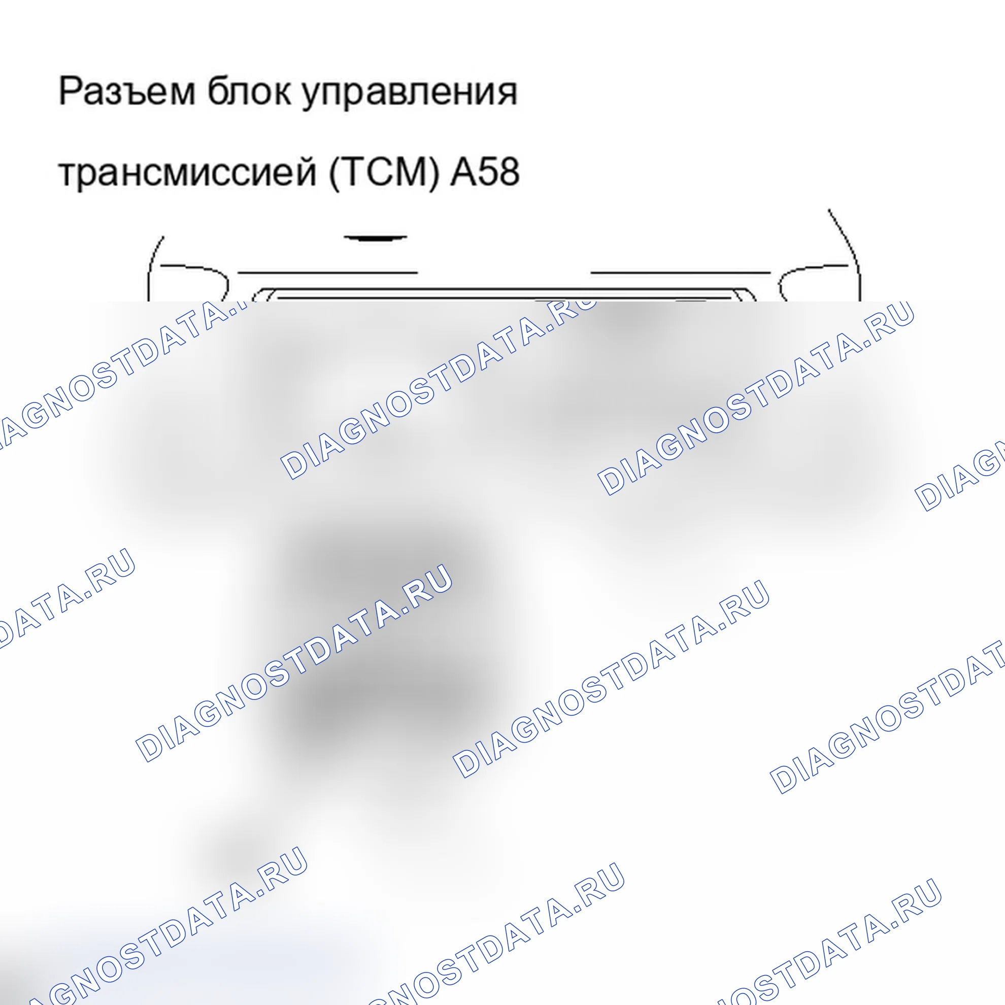 Рис. 447. Lexus IS F I