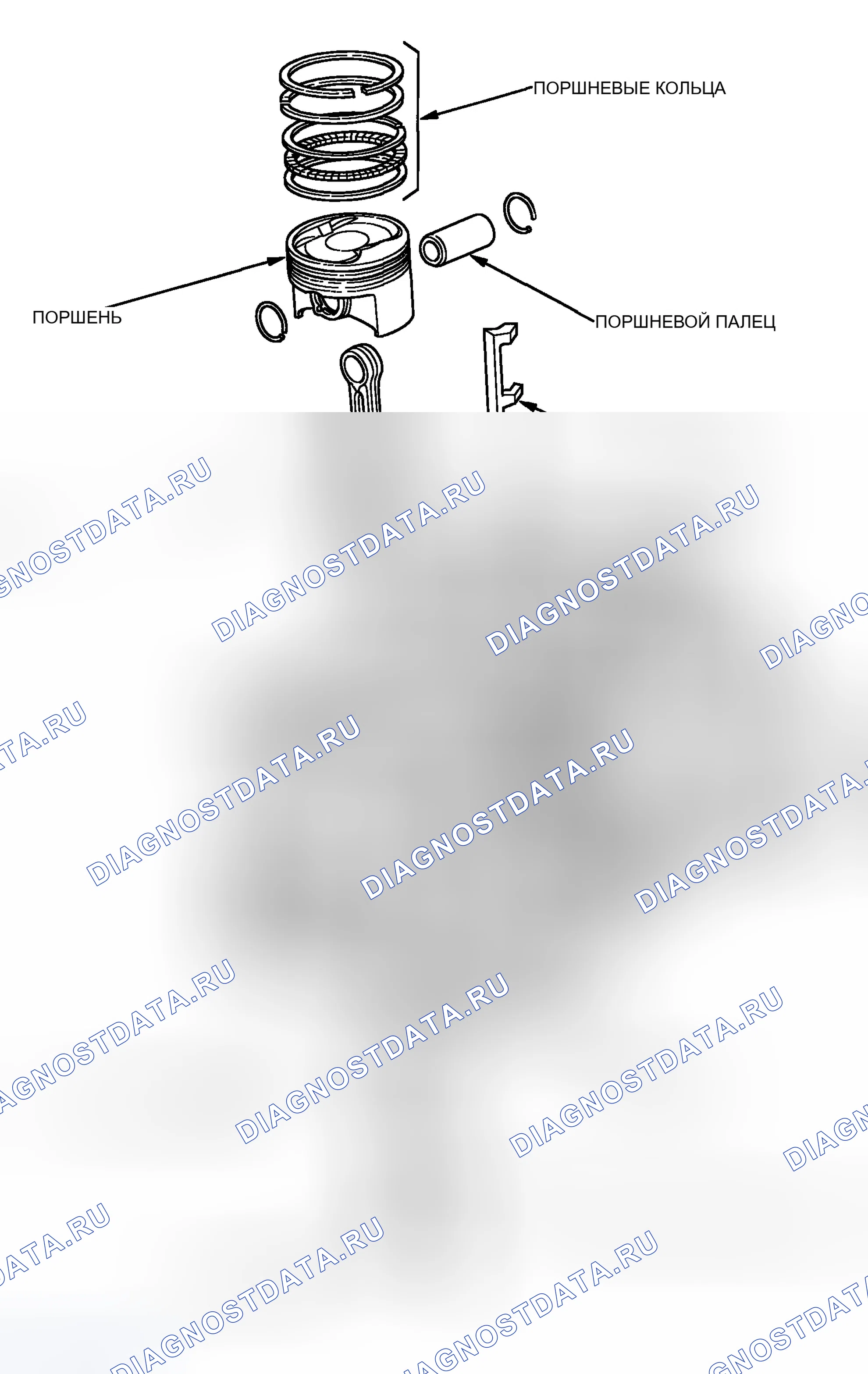 Рис. 186. Honda Element YH2