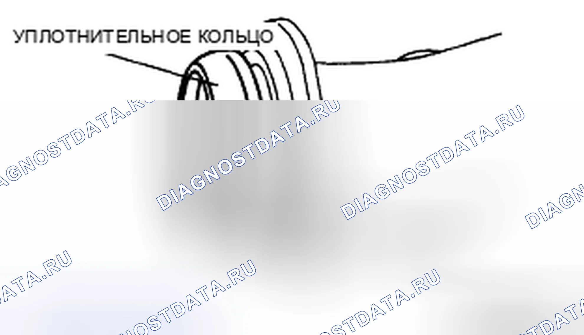 Рис. 41: Примечание по установке уплотнительного кольца. Audi R8 I