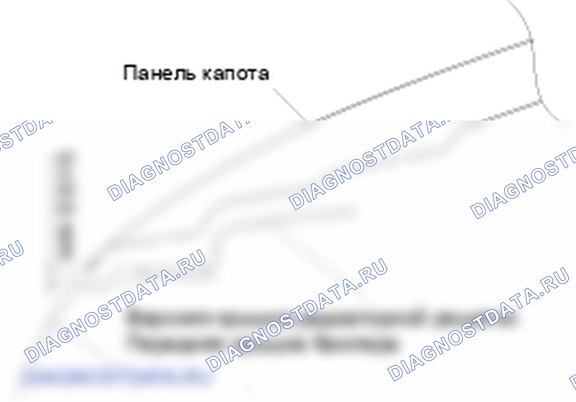 Передняя часть тела. Hyundai Genesis BH