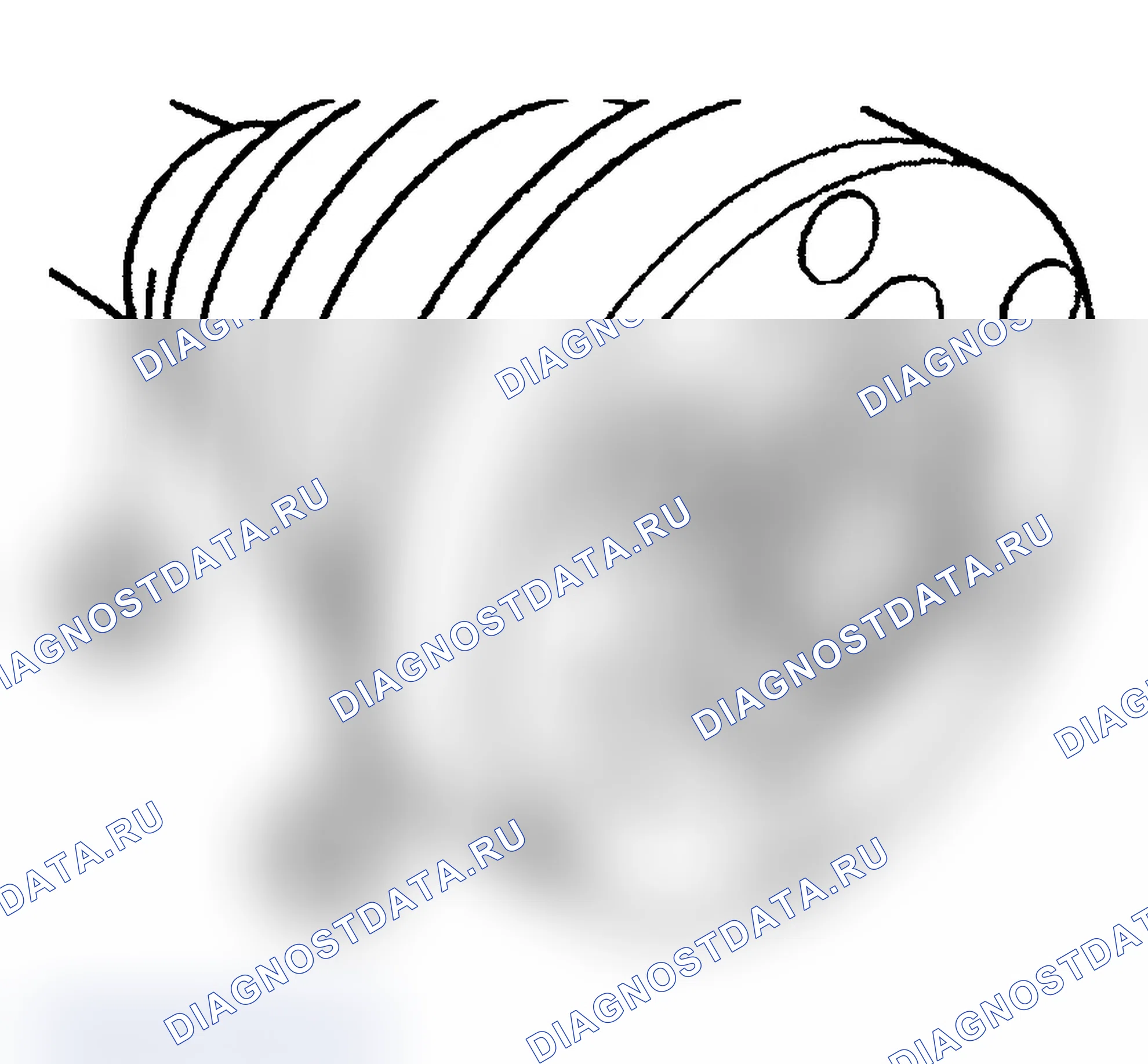 Рис. 30. BMW X3 E83