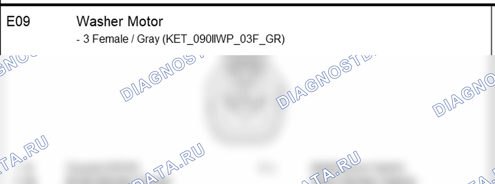 Распиновка разъёма E09 — front harness. Hyundai Santafe Sport DMA