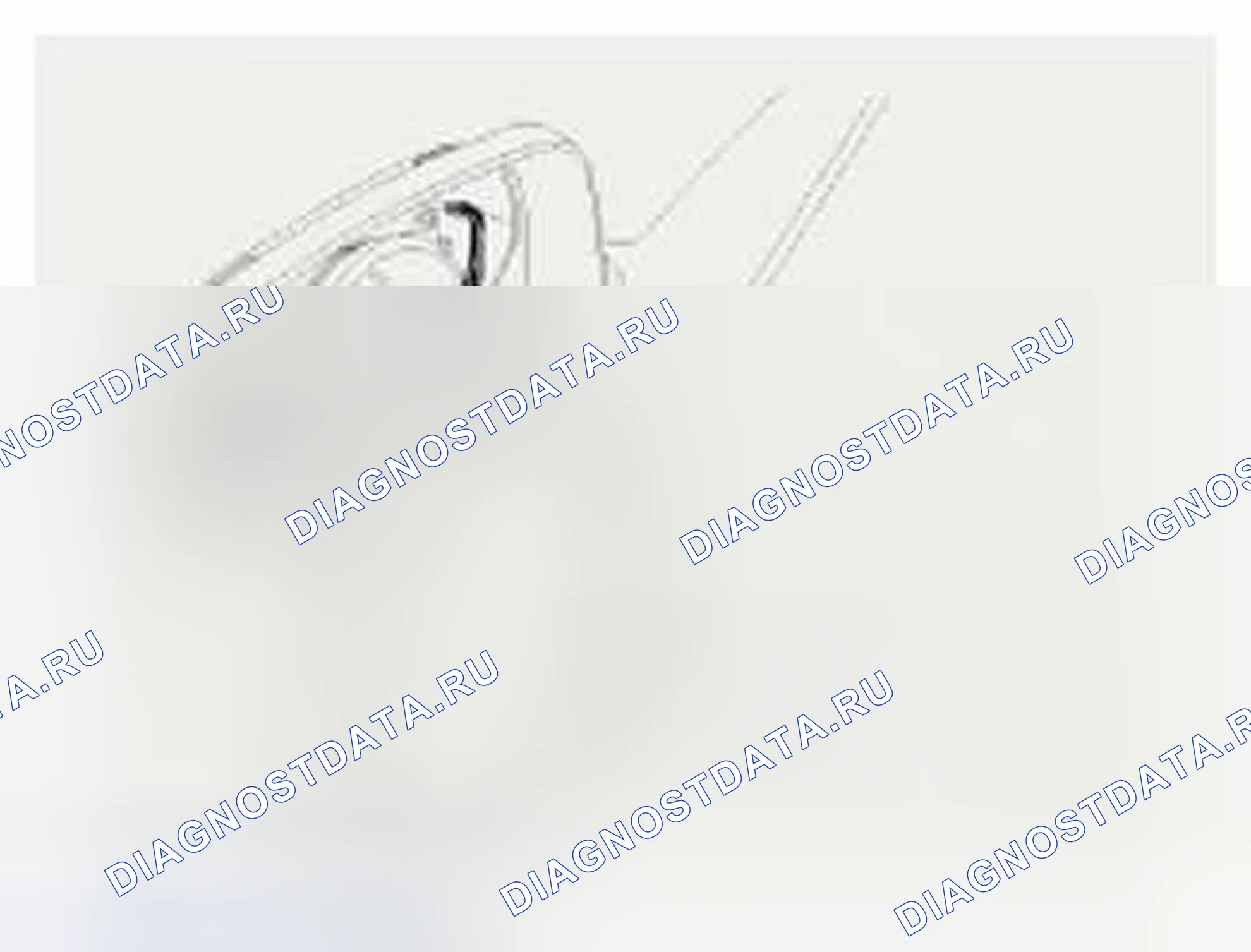 Рис. 20: Сигнальная лампа поворота дверного зеркала. Hyundai Veloster I