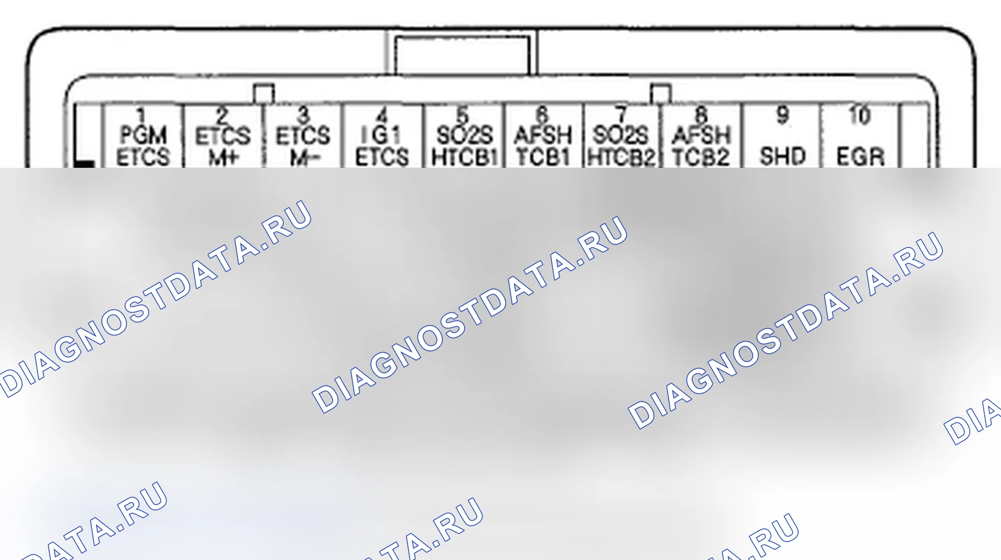 Рис. 205: Входы и выходы ИКМ разъема C (o) (49P). Acura MDX II