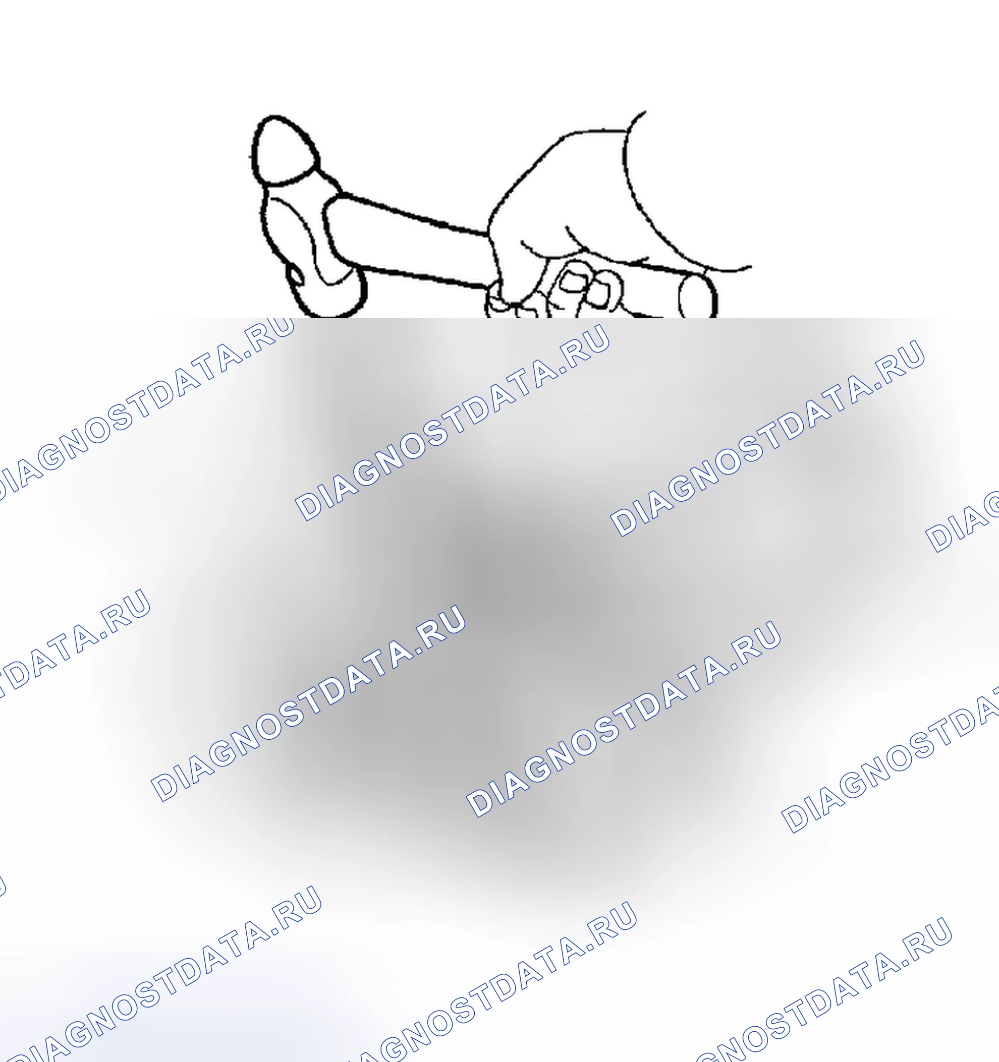 Рис. 36. Toyota Tacoma I рестайлинг