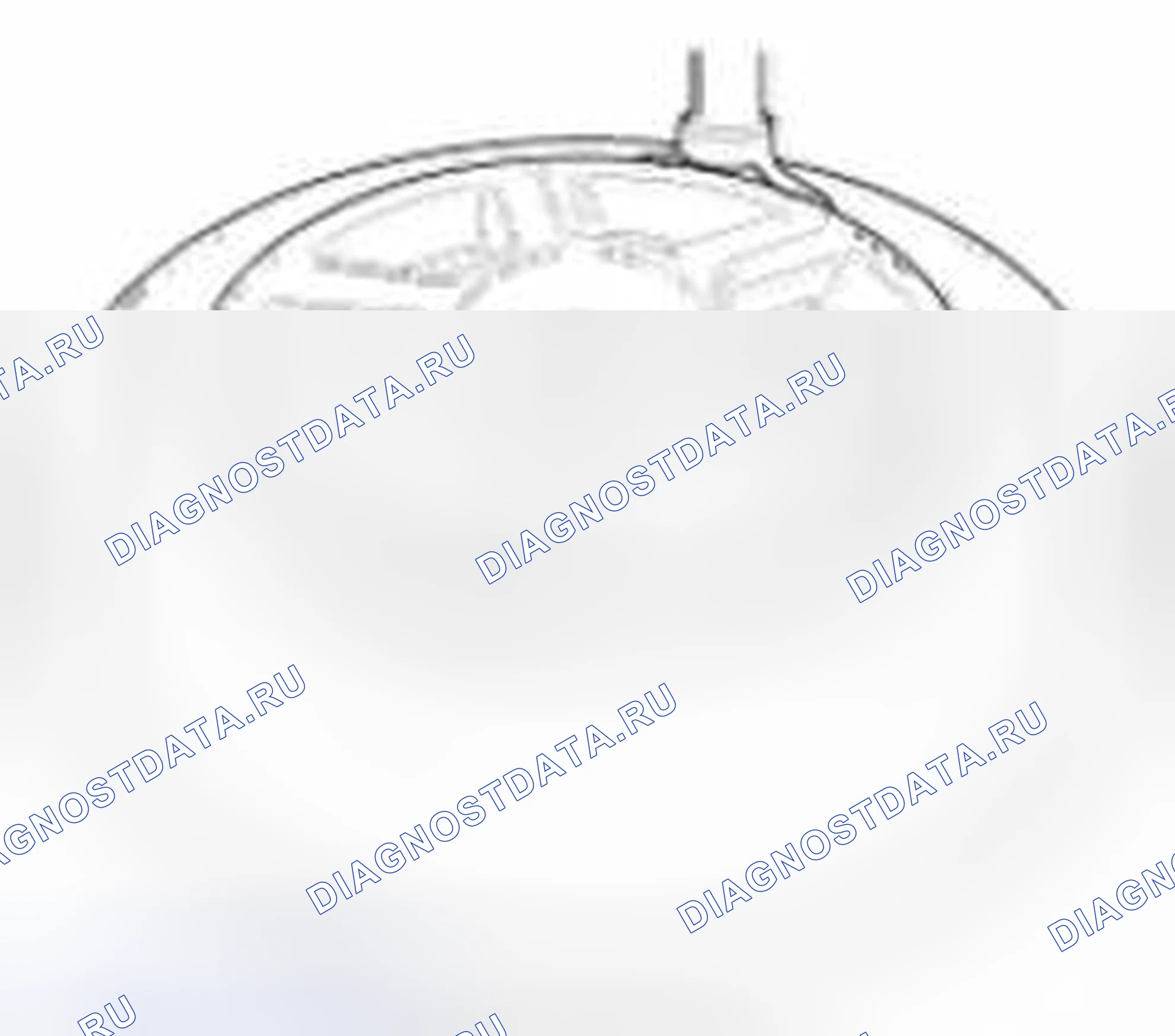 Рис. 20. Geely Vision X3 Pro I