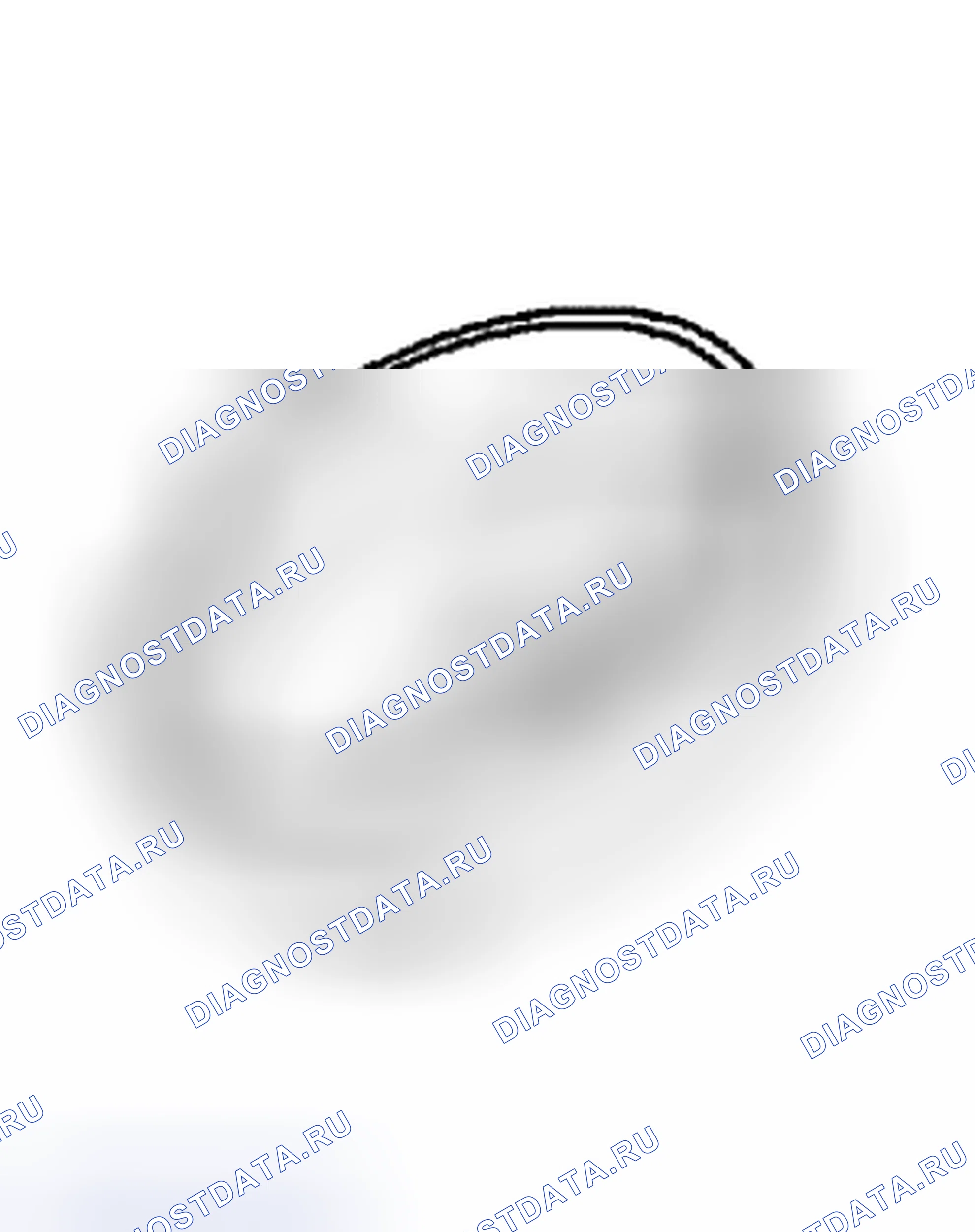 Рис. 388. Dodge Cab & Chassis R3500 HD 