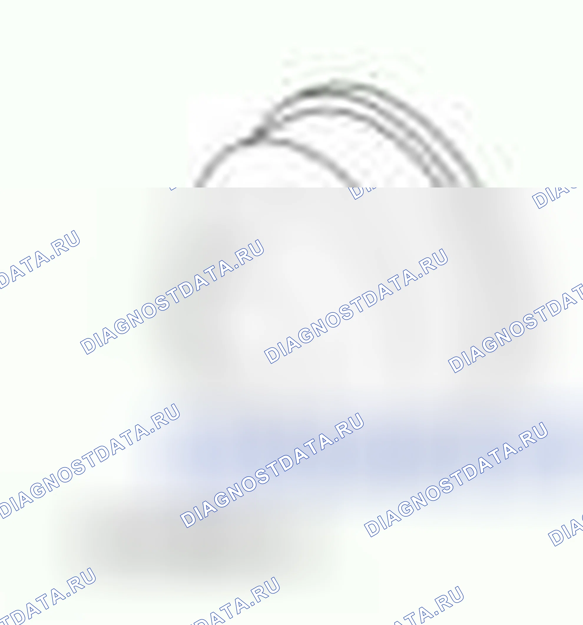 Рис. 465. Hyundai ix55 I