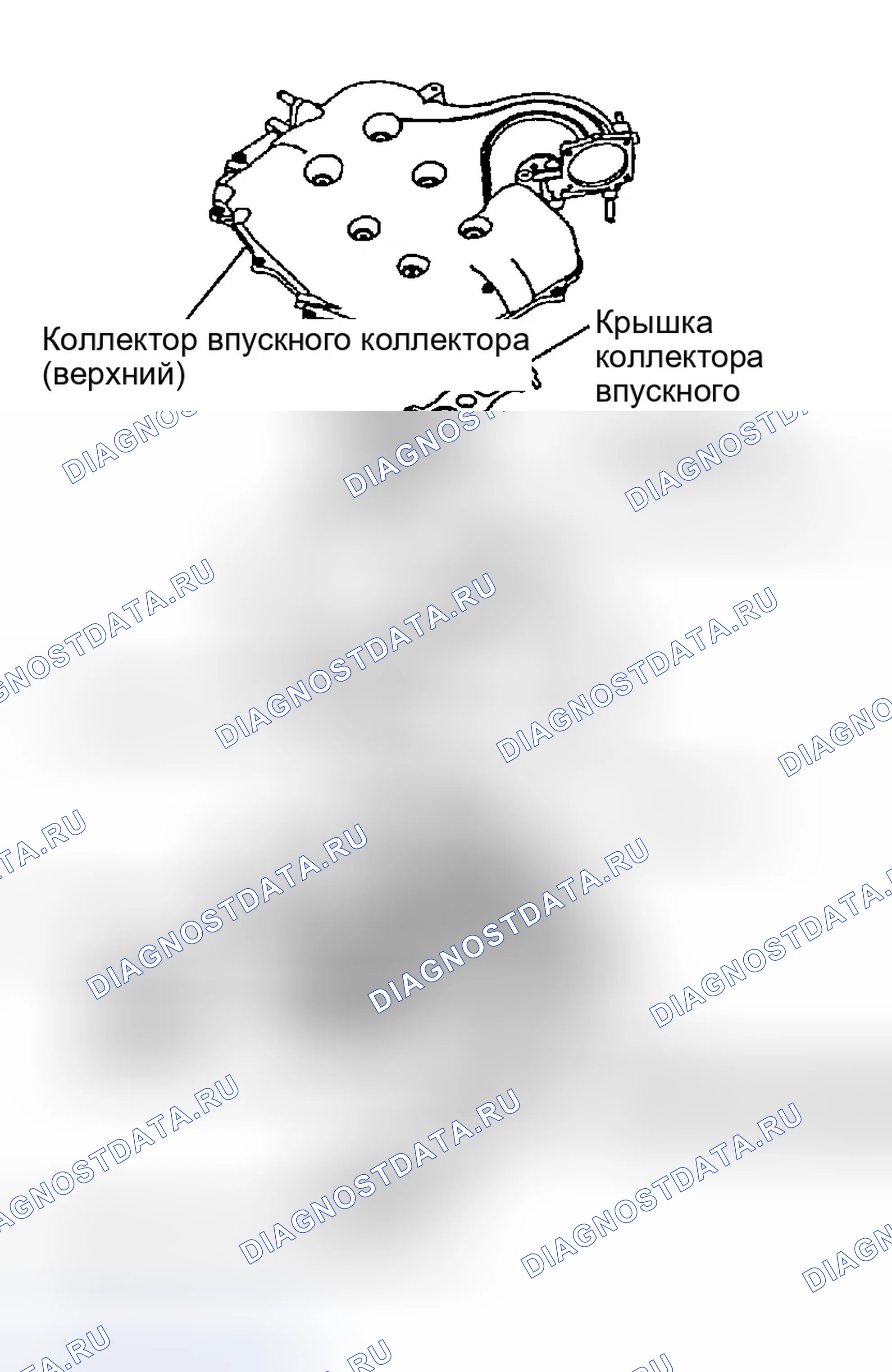 Рис. 1250: Указание направления установки компонента. Infiniti G35 III