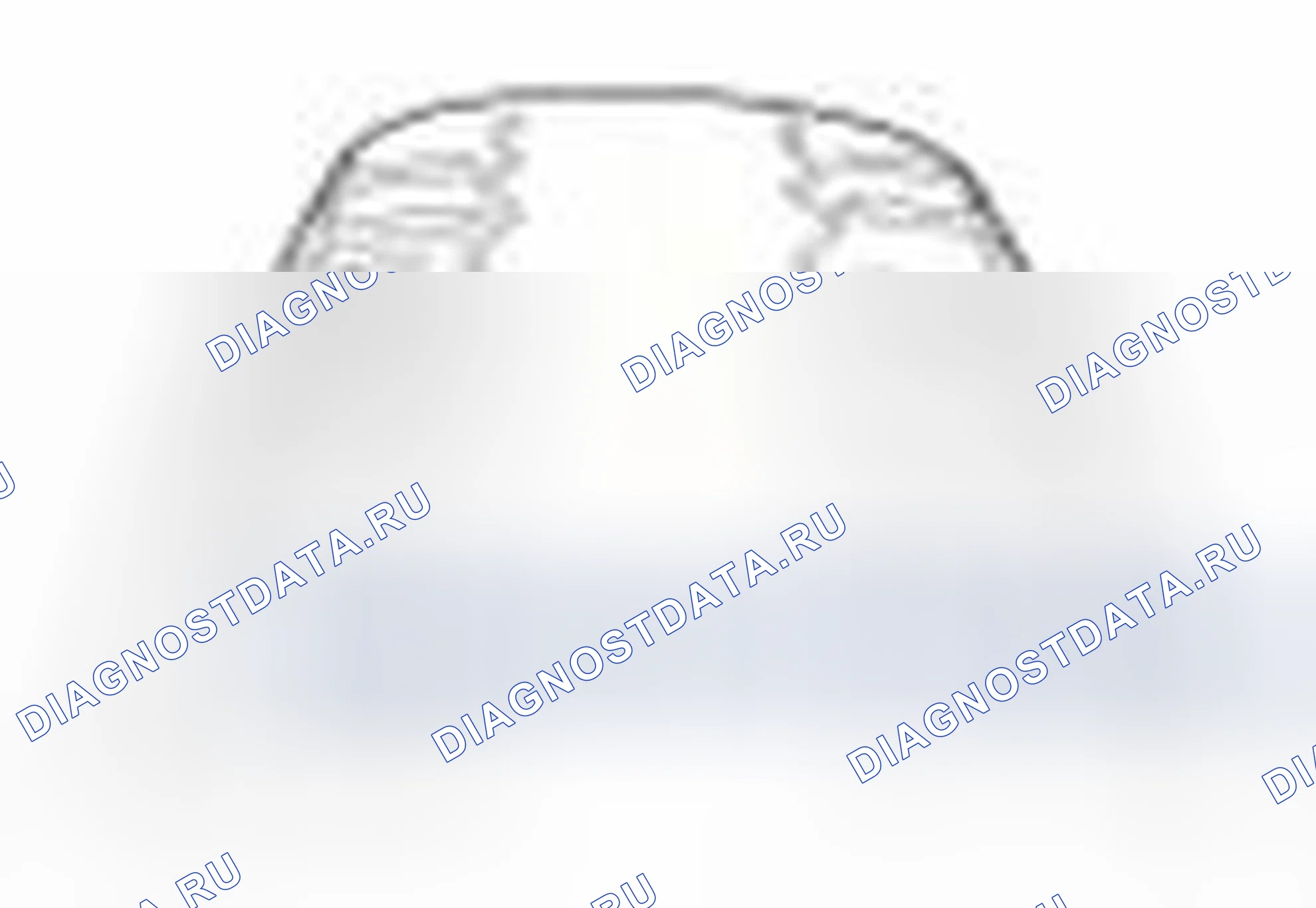 Рис. 1. Hyundai Equus II