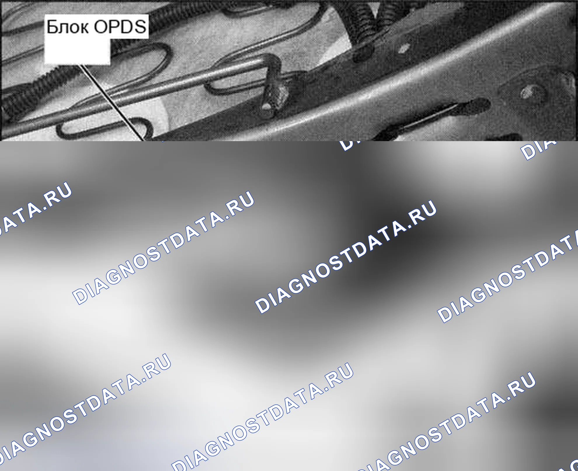 Рис. 80. Honda Accord VII рестайлинг