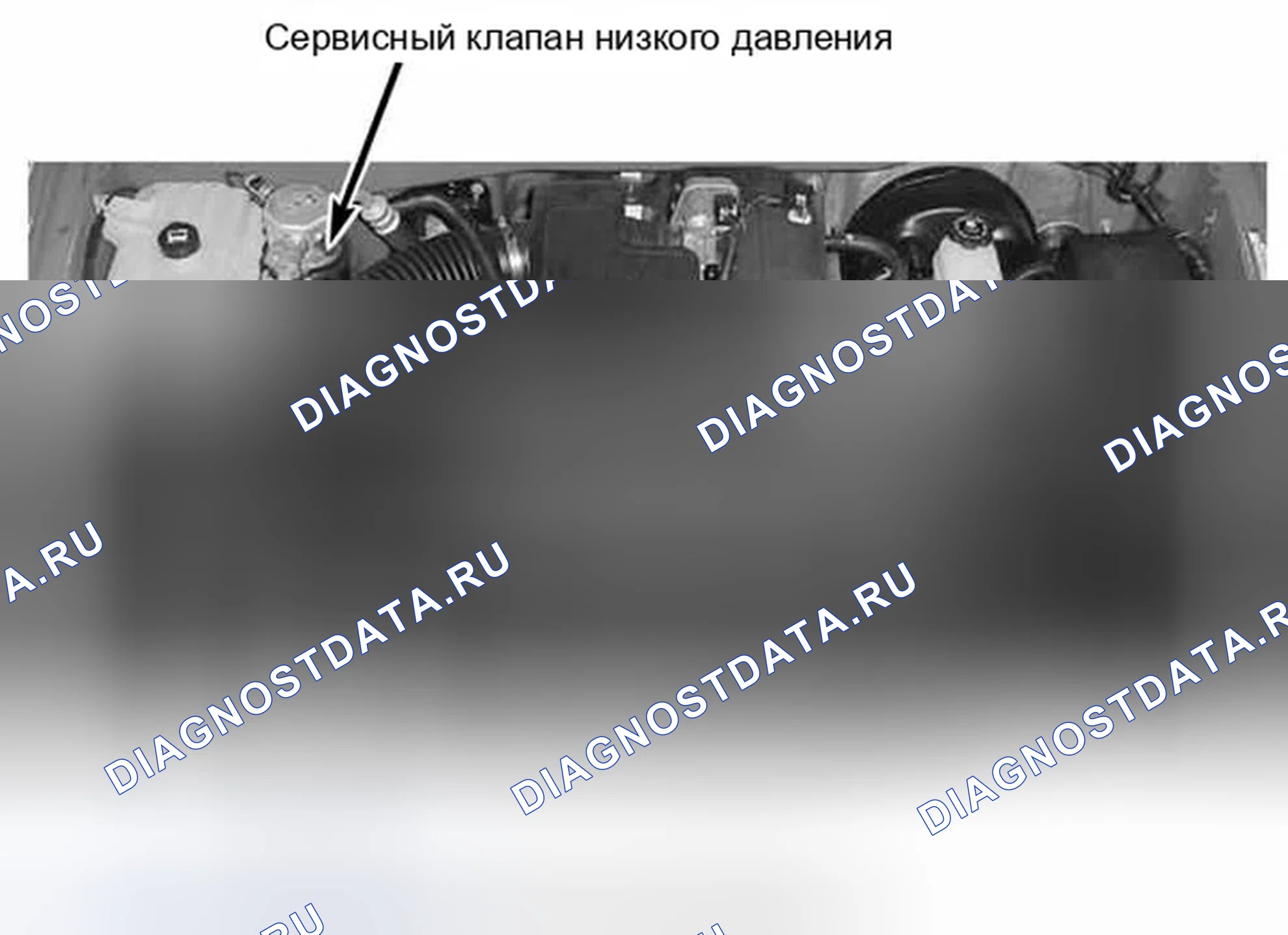 Рис. 43. Ford Escape I