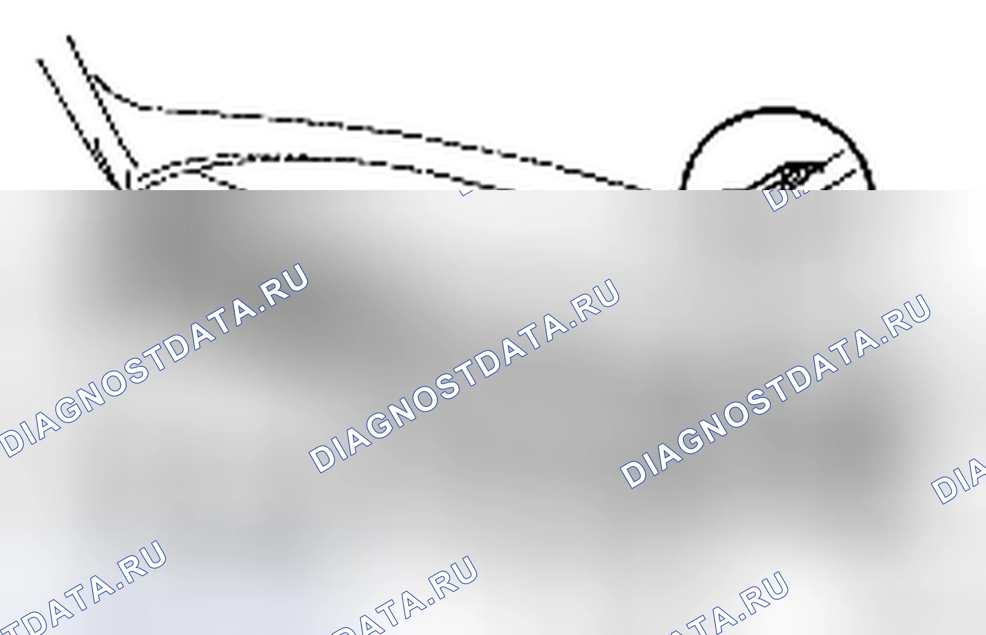 Рис. 6. Toyota Yaris II