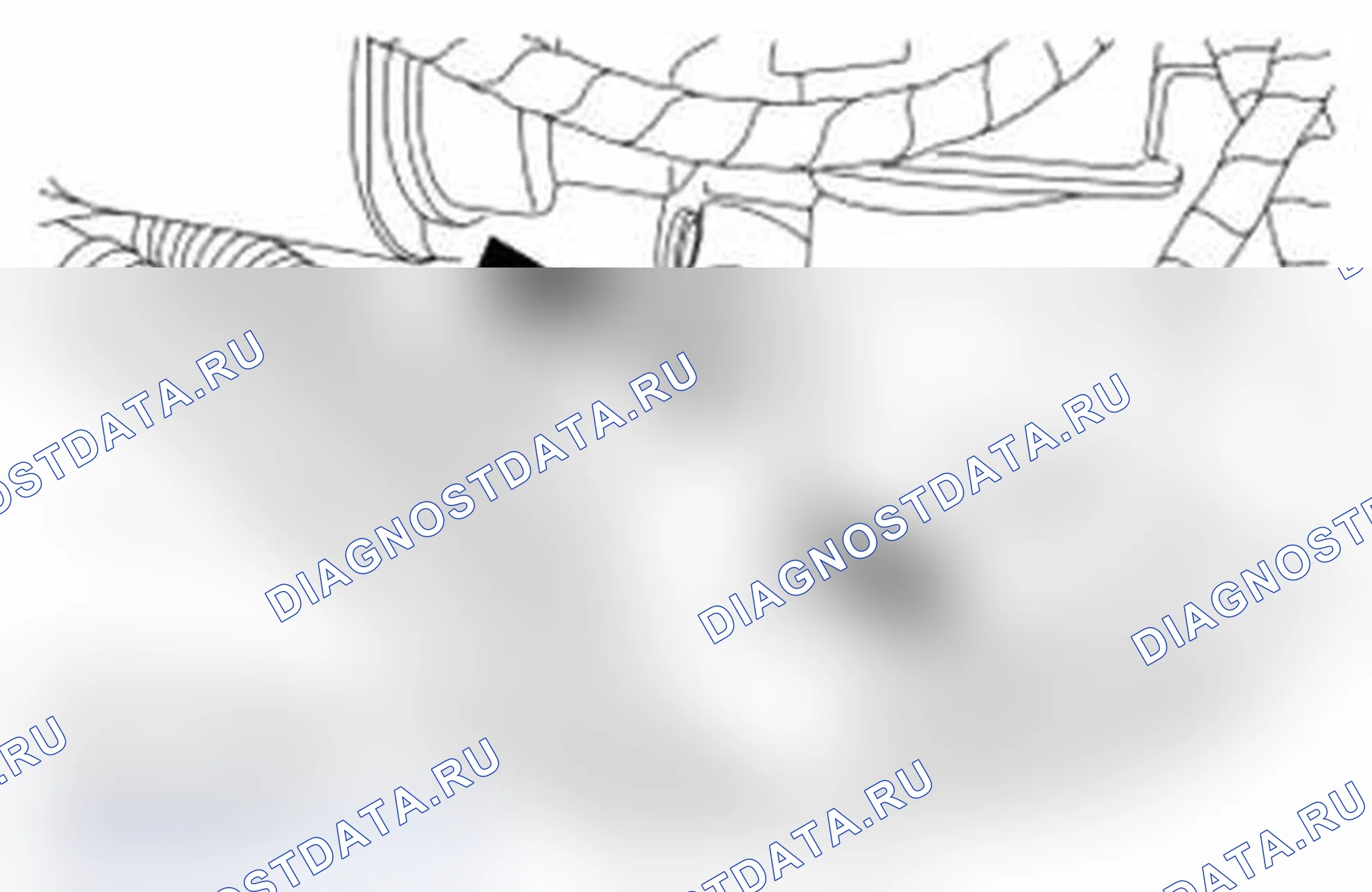 Рис. 78. Ford Transit Connect I рестайлинг