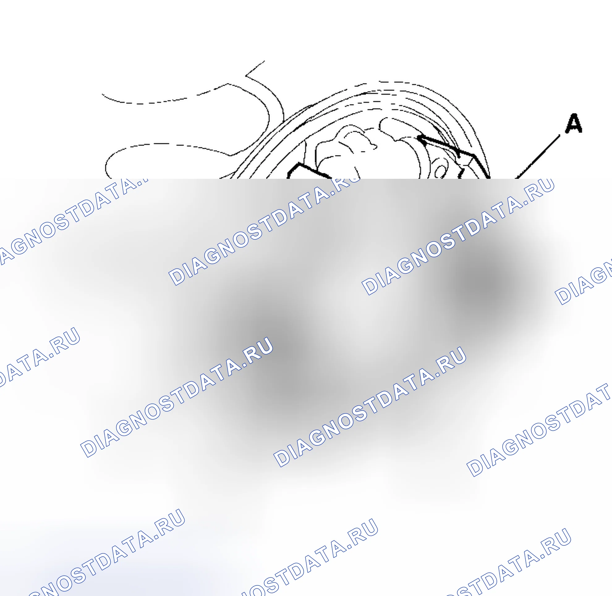 Рис. 31. Honda Insight I