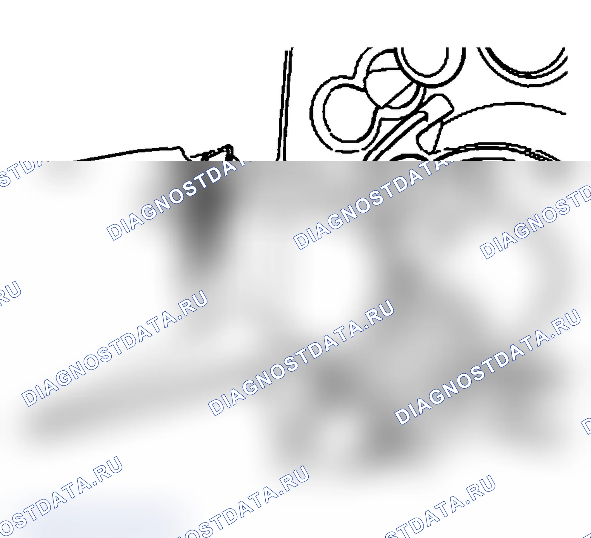 Рис. 70. BMW X3 E83