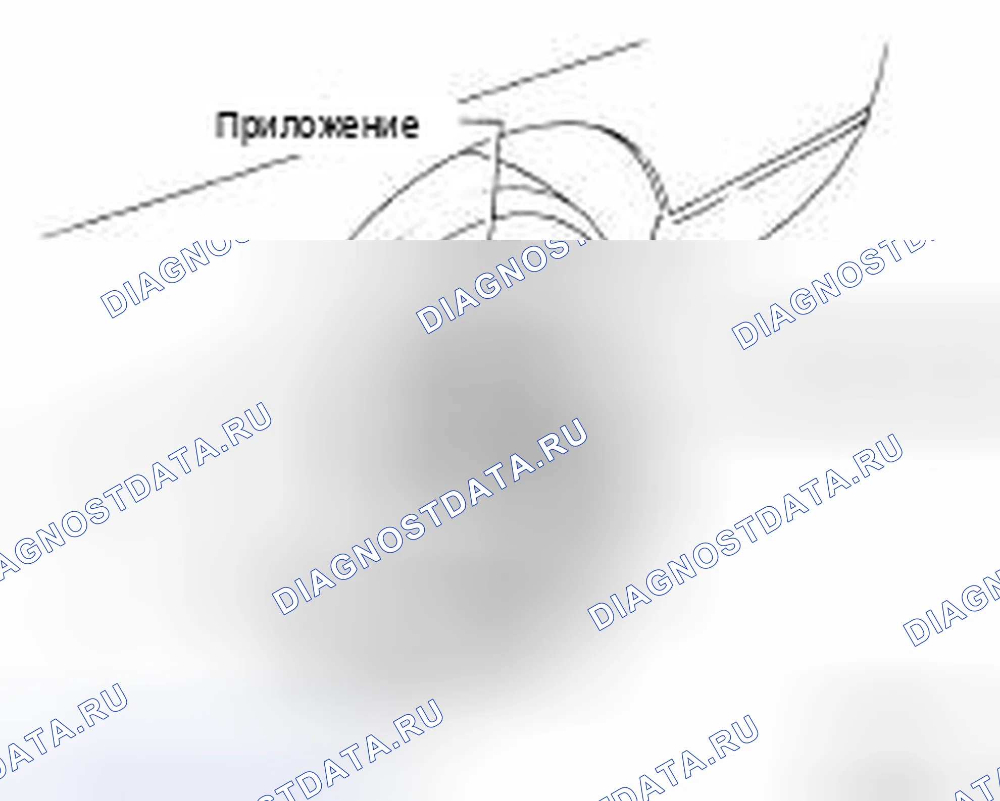 Рис. 1: ПРОВЕРКА КАМЕР. Nissan Sentra B16 рестайлинг