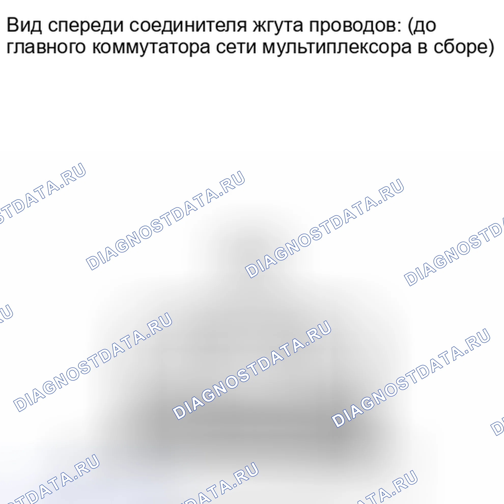 Рис. 204: ПОРЯДОК ВЫПОЛНЕНИЯ РАБОТ. Haval H4 I