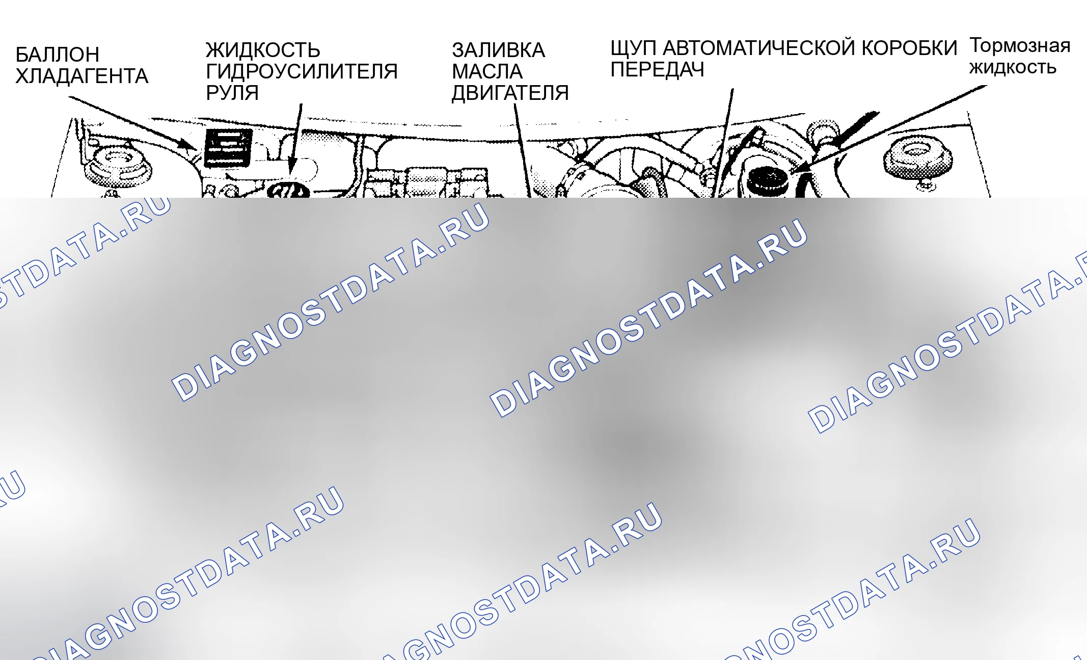 Рис. 3: РАСПОЛОЖЕНИЕ ТОЧЕК ОБСЛУЖИВАНИЯ. Dodge Neon I