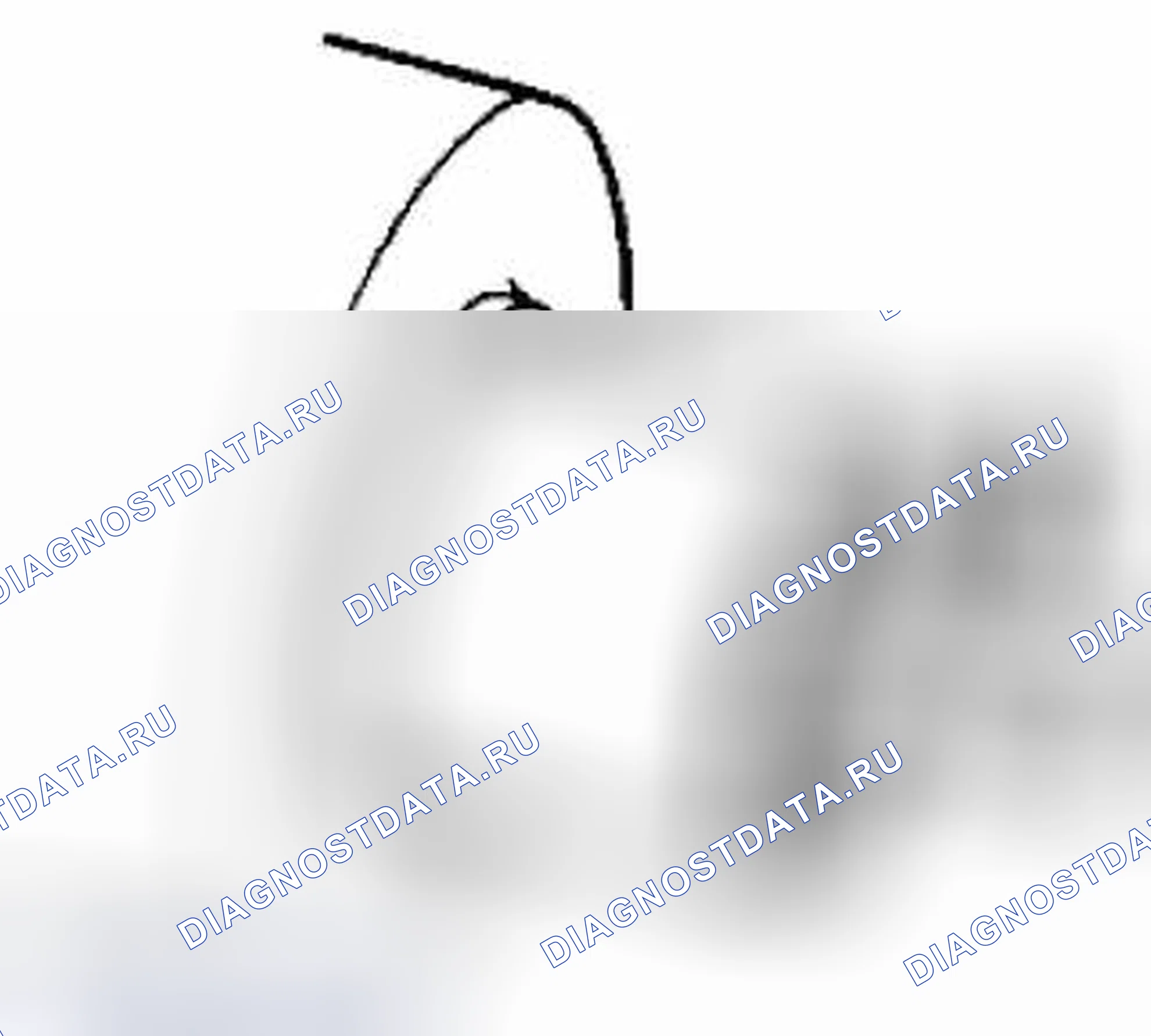 Рис. 11: Плунжер. Suzuki Grand Vitara II рестайлинг 2