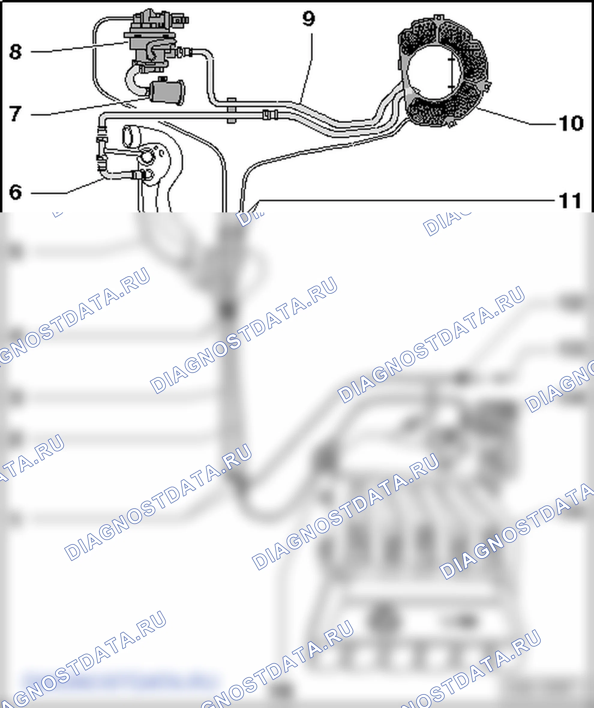 Система с абсорбером (автомобили для США/Канады). Volkswagen Golf Mk5