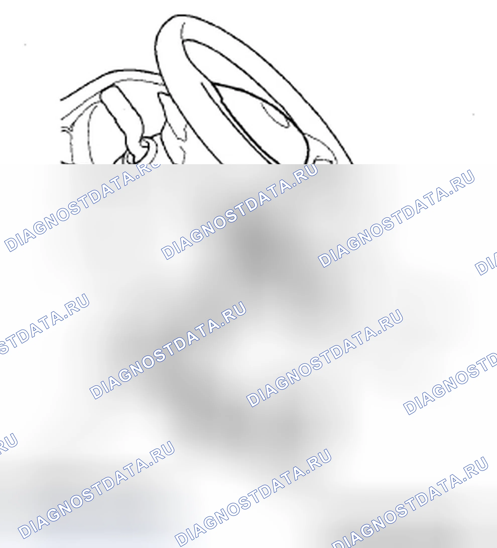 Рис. 15. Acura ZDX I