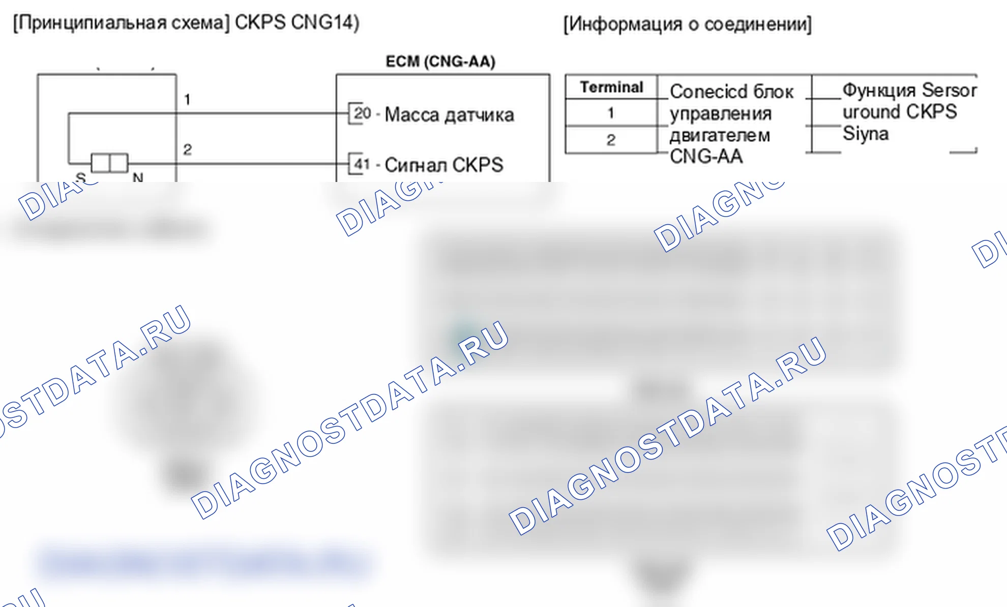 Фрагмент электросхемы: Датчик положения коленчатого вала (CKPS). Hyundai Elantra V рестайлинг