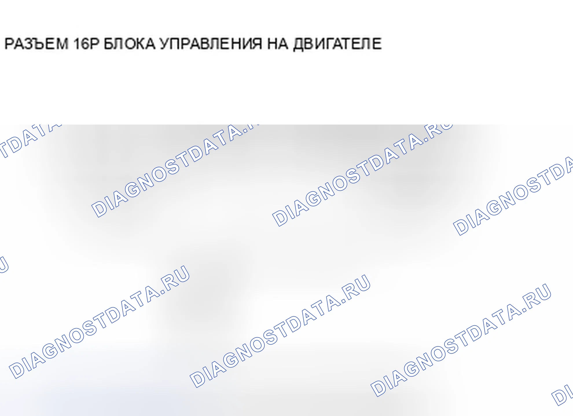 Рис. 211. Honda Crosstour I