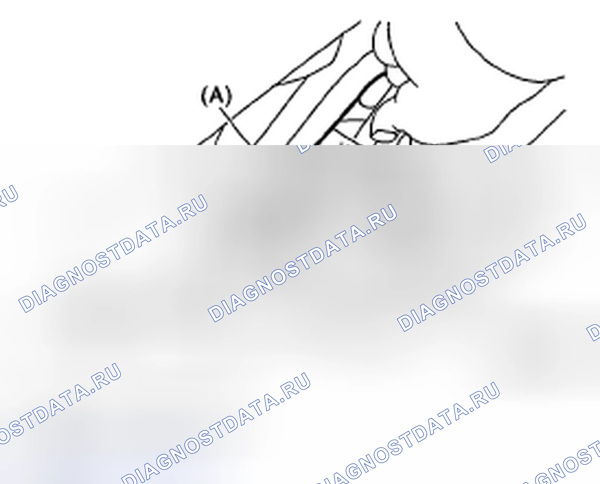 Рис. 494. Subaru Impreza WRX GH