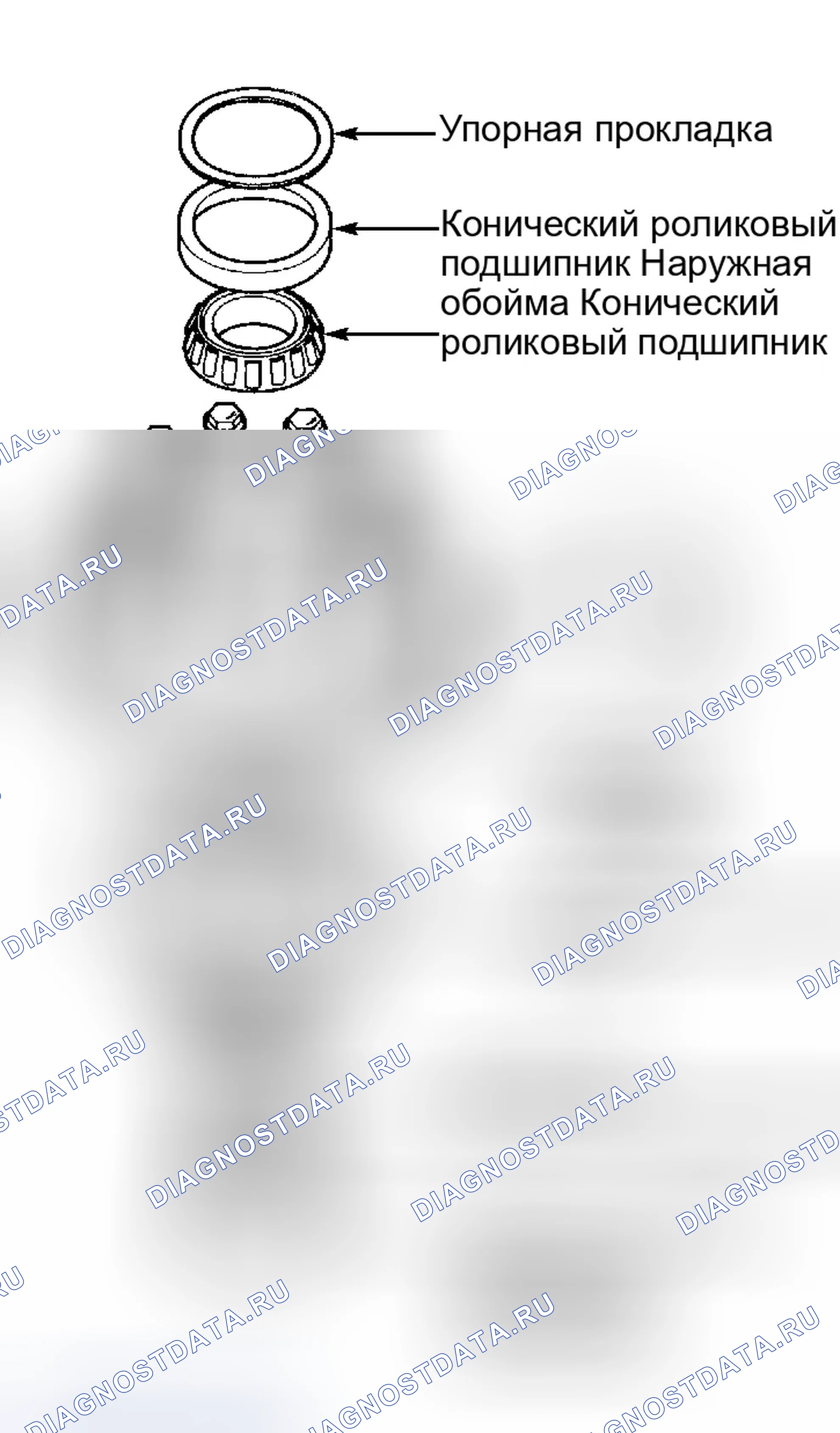 Рис. 145. Honda Accord V
