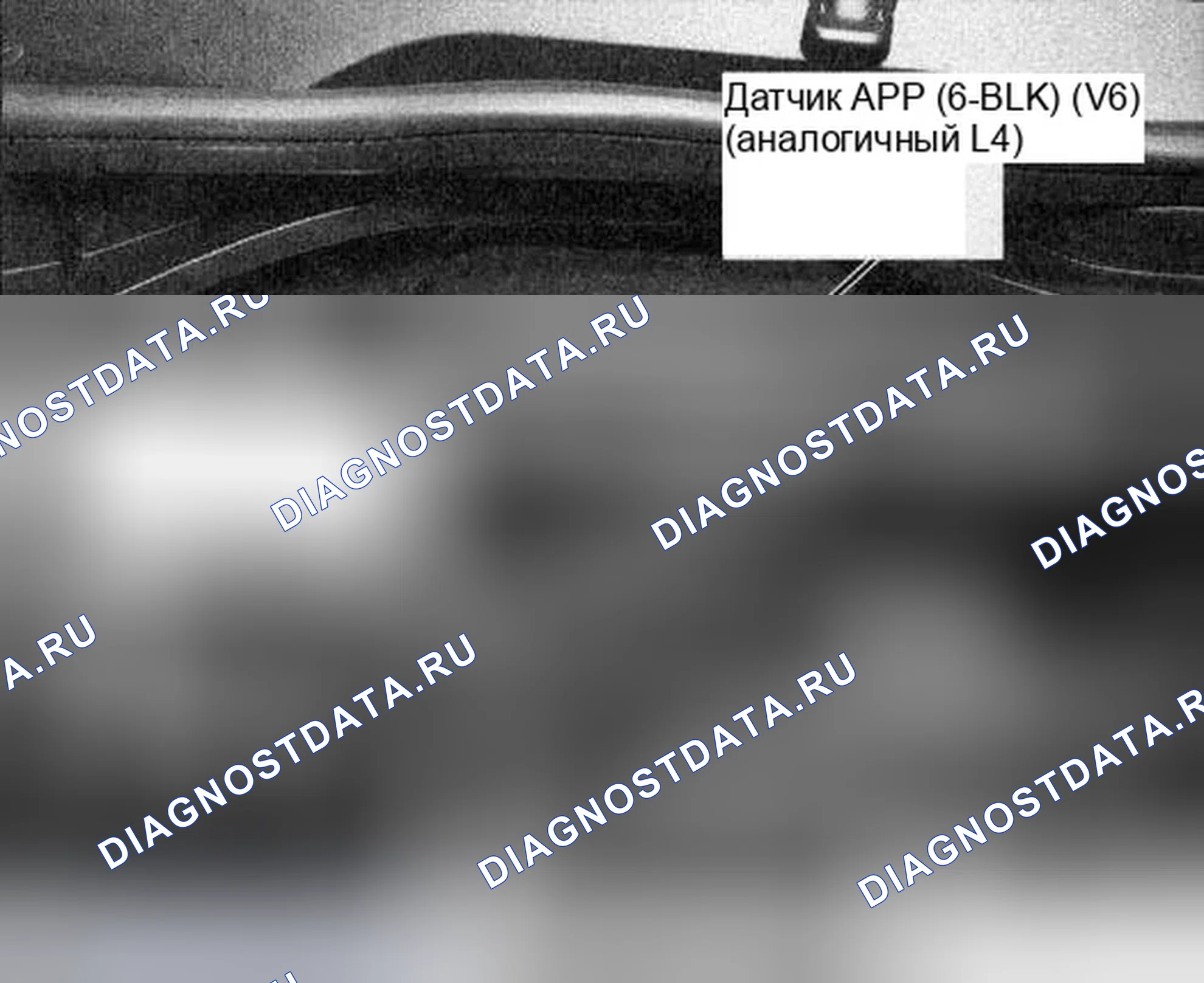 Рис. 310. Honda Accord VII рестайлинг