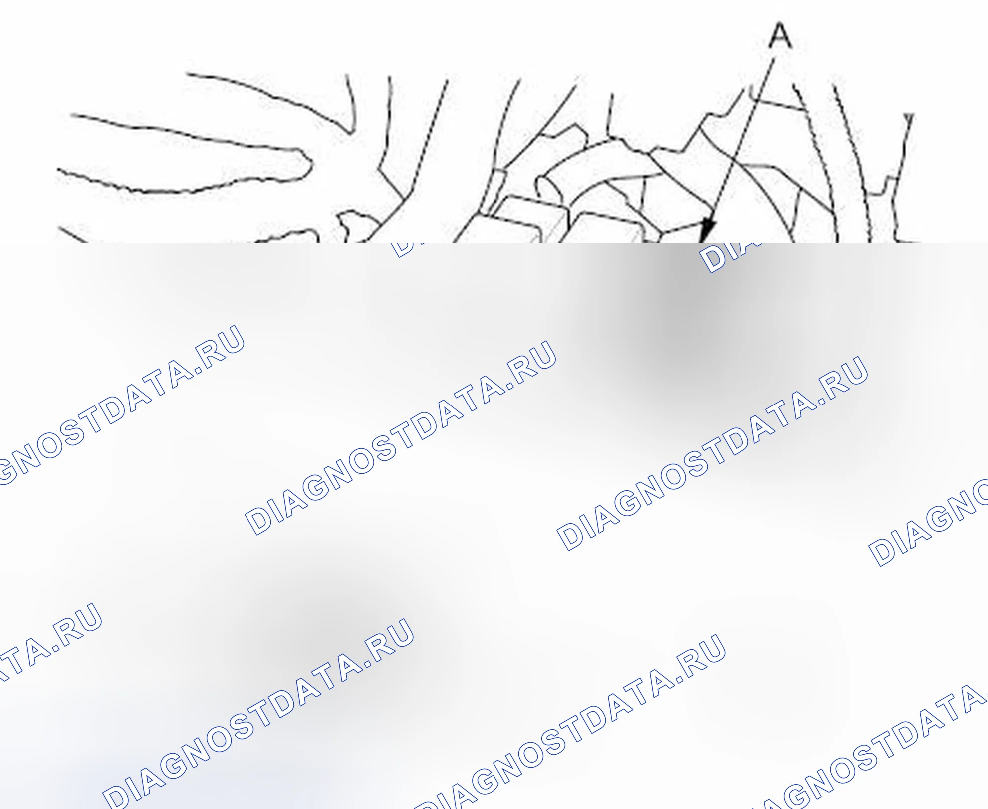 Рис. 57. Honda Element YH2 рестайлинг 2