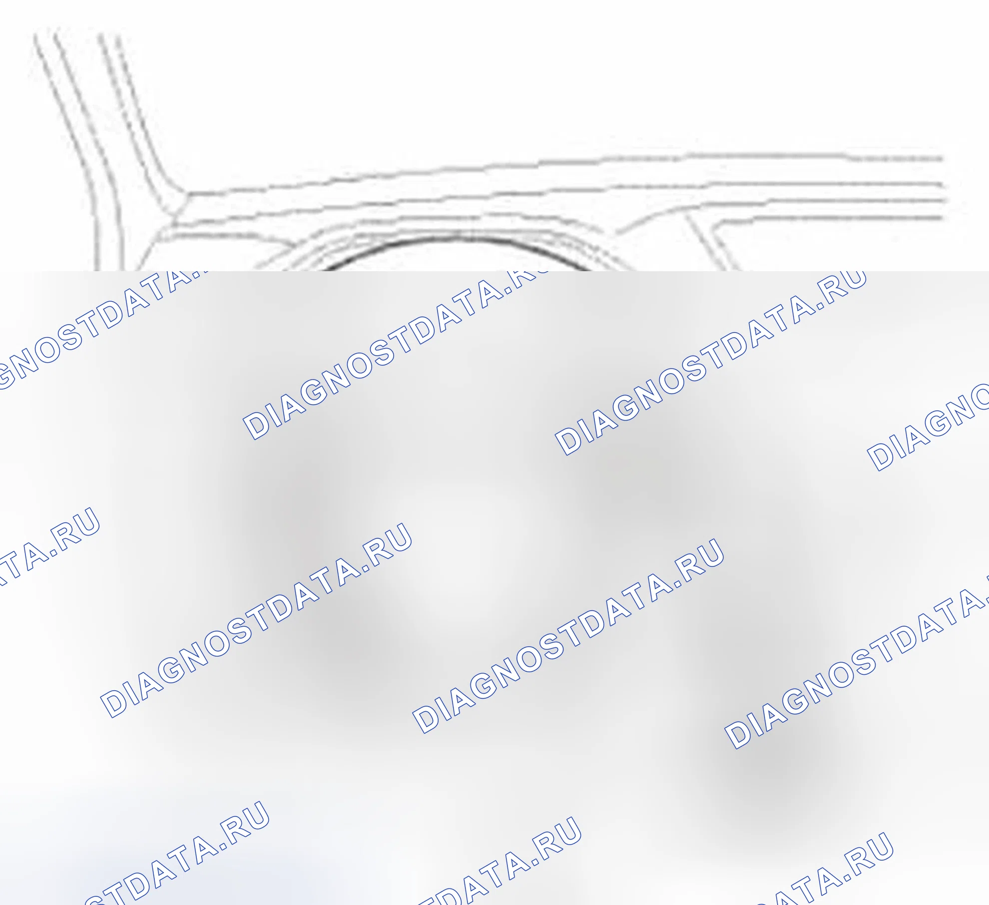 Рис. 9. Honda CR-V IV