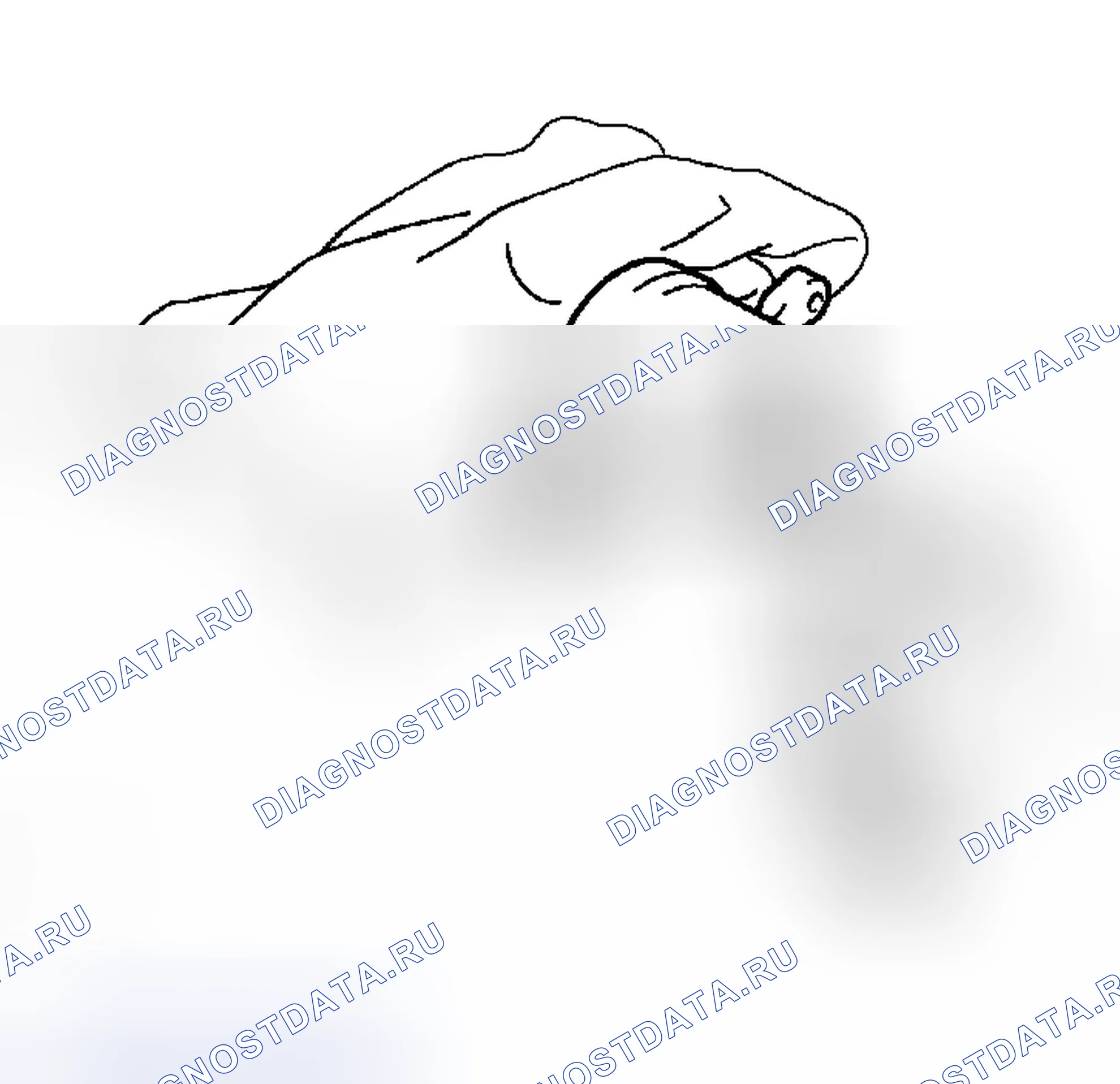 Рис. 91. Haval H5 I