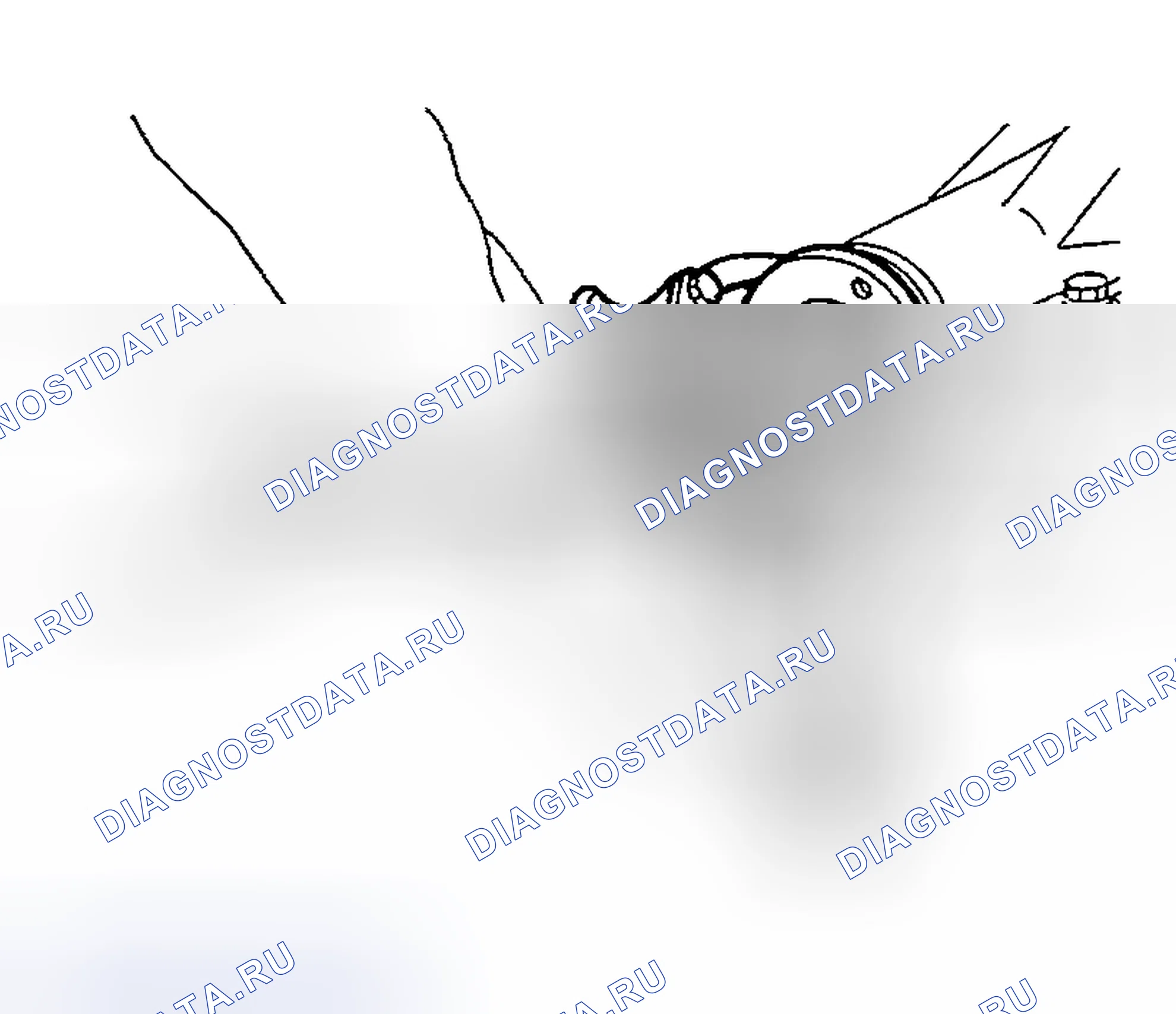Рис. 39. Nissan 350Z I