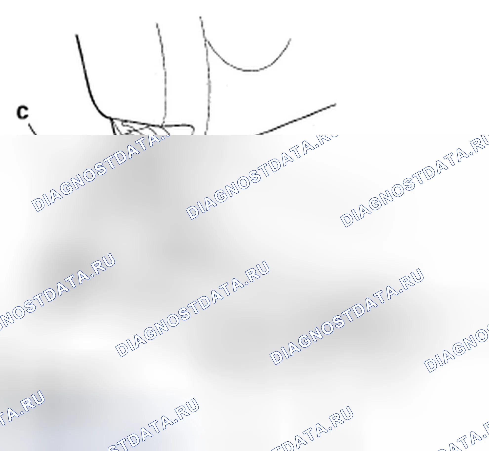 Рис. 21. Honda Fit I