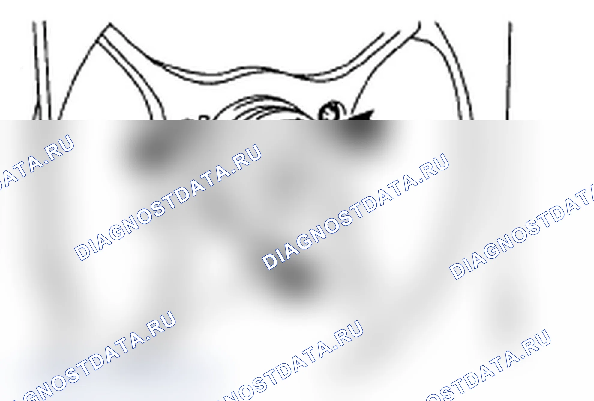 Рис. 83. Subaru Impreza WRX GD/GG рестайлинг 2